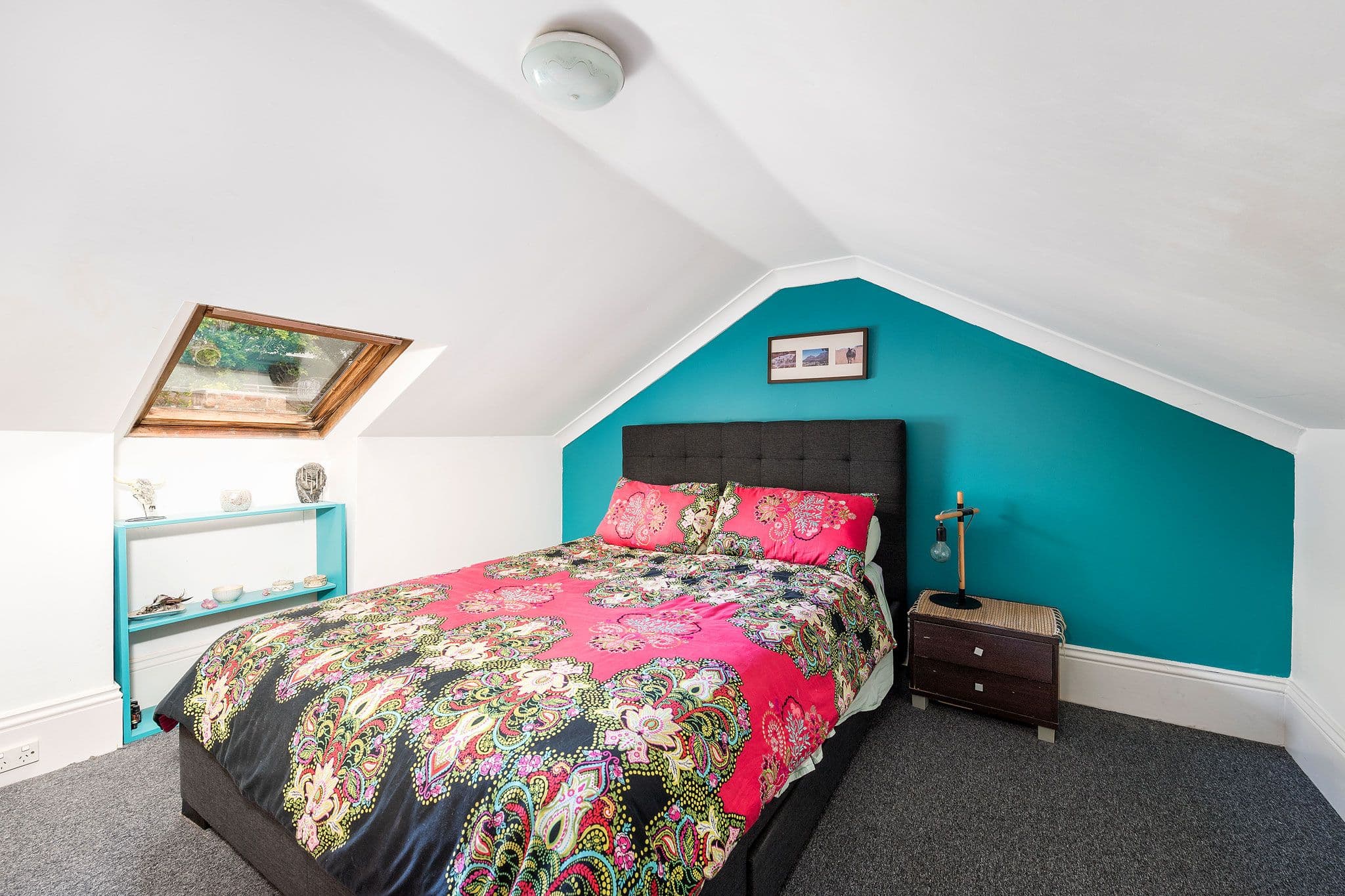 19 Briggs Street, Camperdown - Thumbnail 5