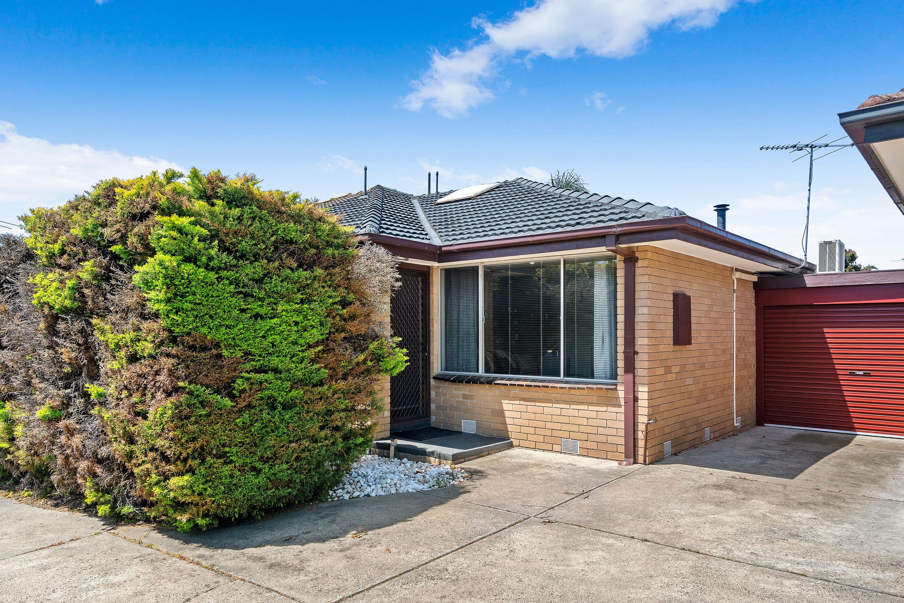 258 Warrigal Road, Cheltenham VIC 3192, Cheltenham - Thumbnail 5