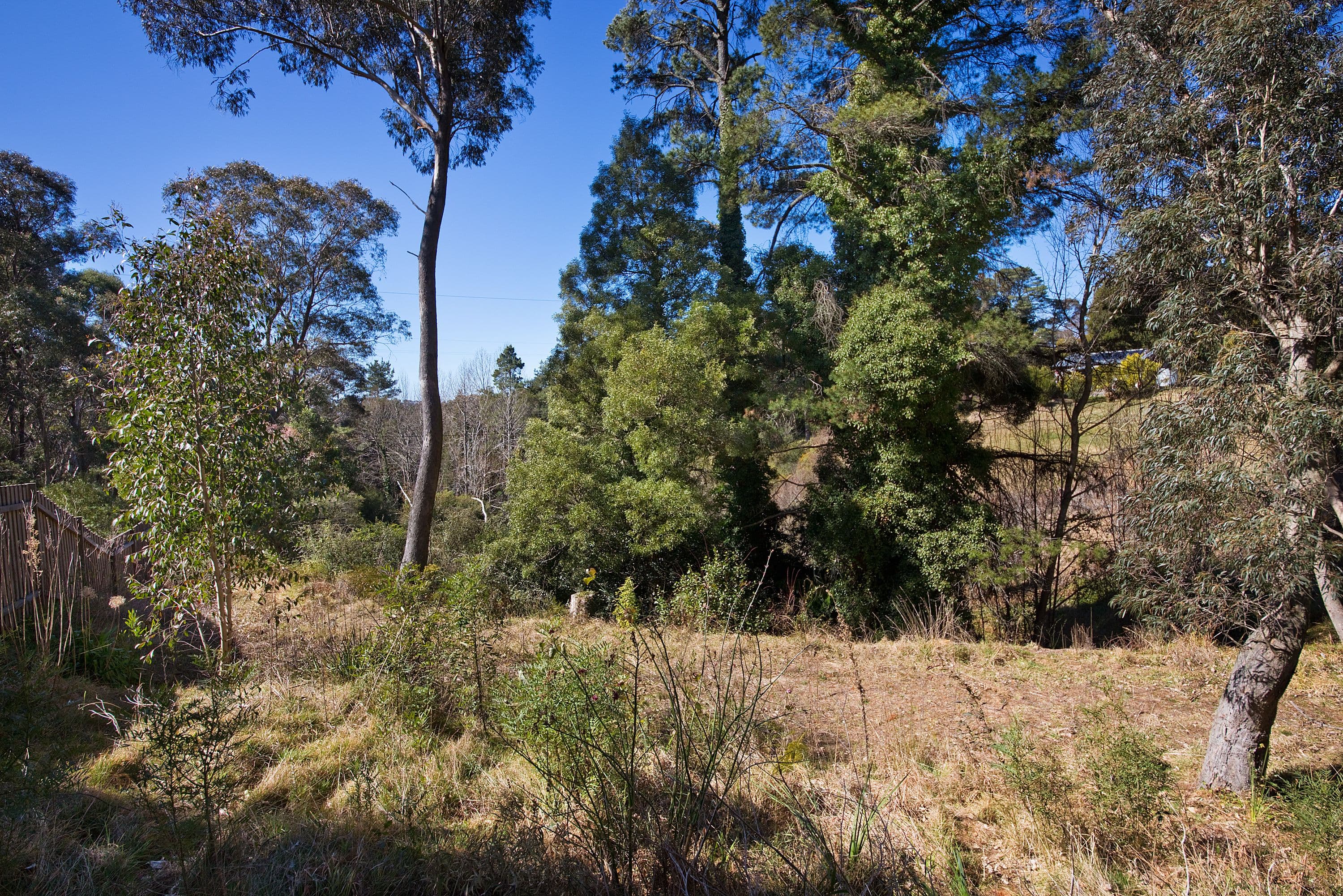 9 Cleopatra Street, Blackheath NSW 2785, Blackheath - Thumbnail 2