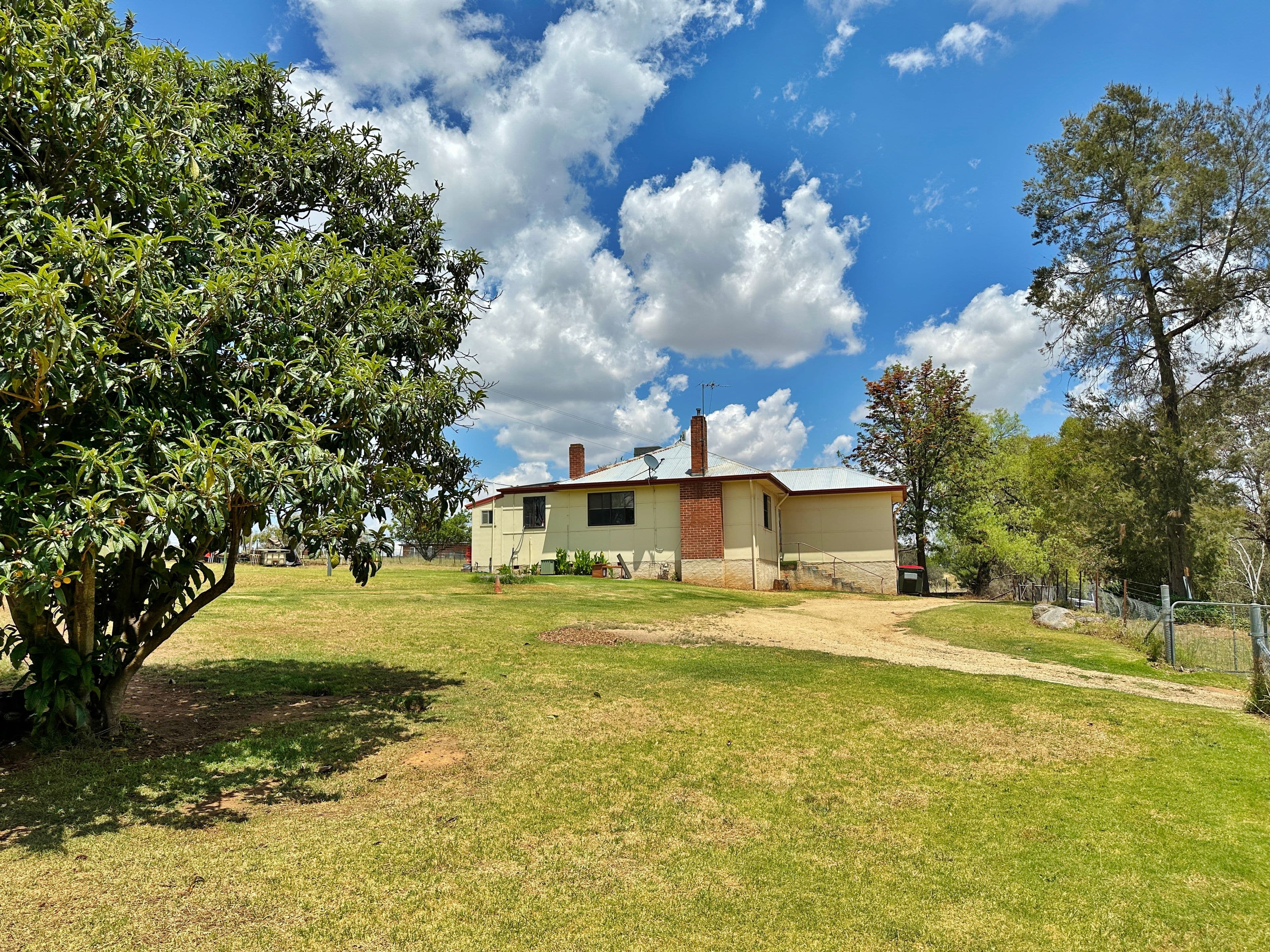 78 Victoria Gully Road, Young NSW 2594, Young - Thumbnail 2