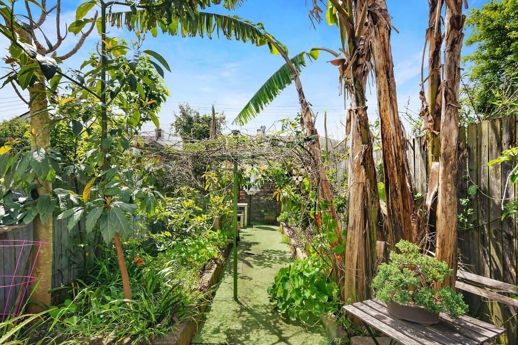 156 Windsor Street, Paddington - Thumbnail 5