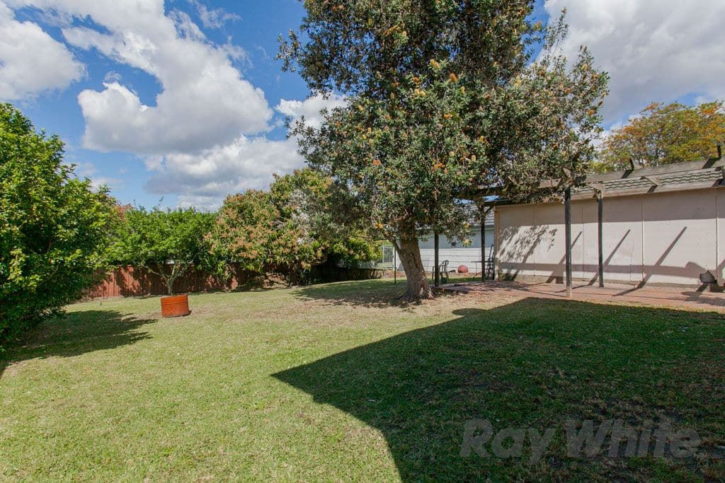 137 Durham Road, LAMBTON NSW 2299, Lambton - Thumbnail 5
