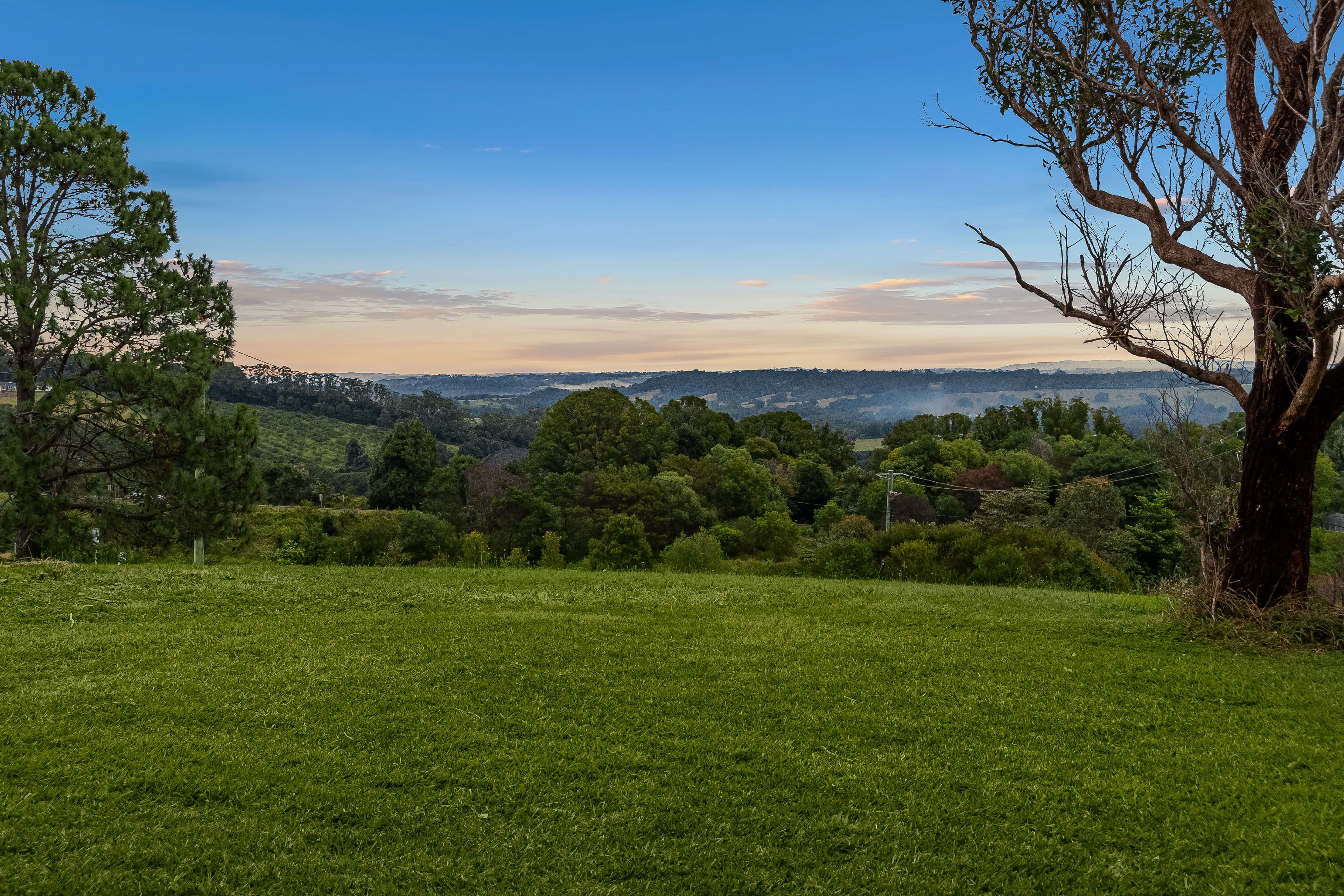 37 Wiley Road, Bangalow NSW 2479, Bangalow - Image 1
