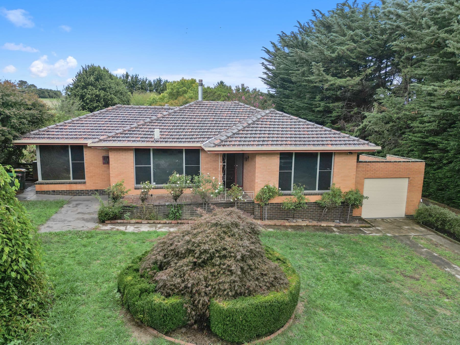 2.5 Acres, Large Sheds, B/V home, Warragul - Thumbnail 2