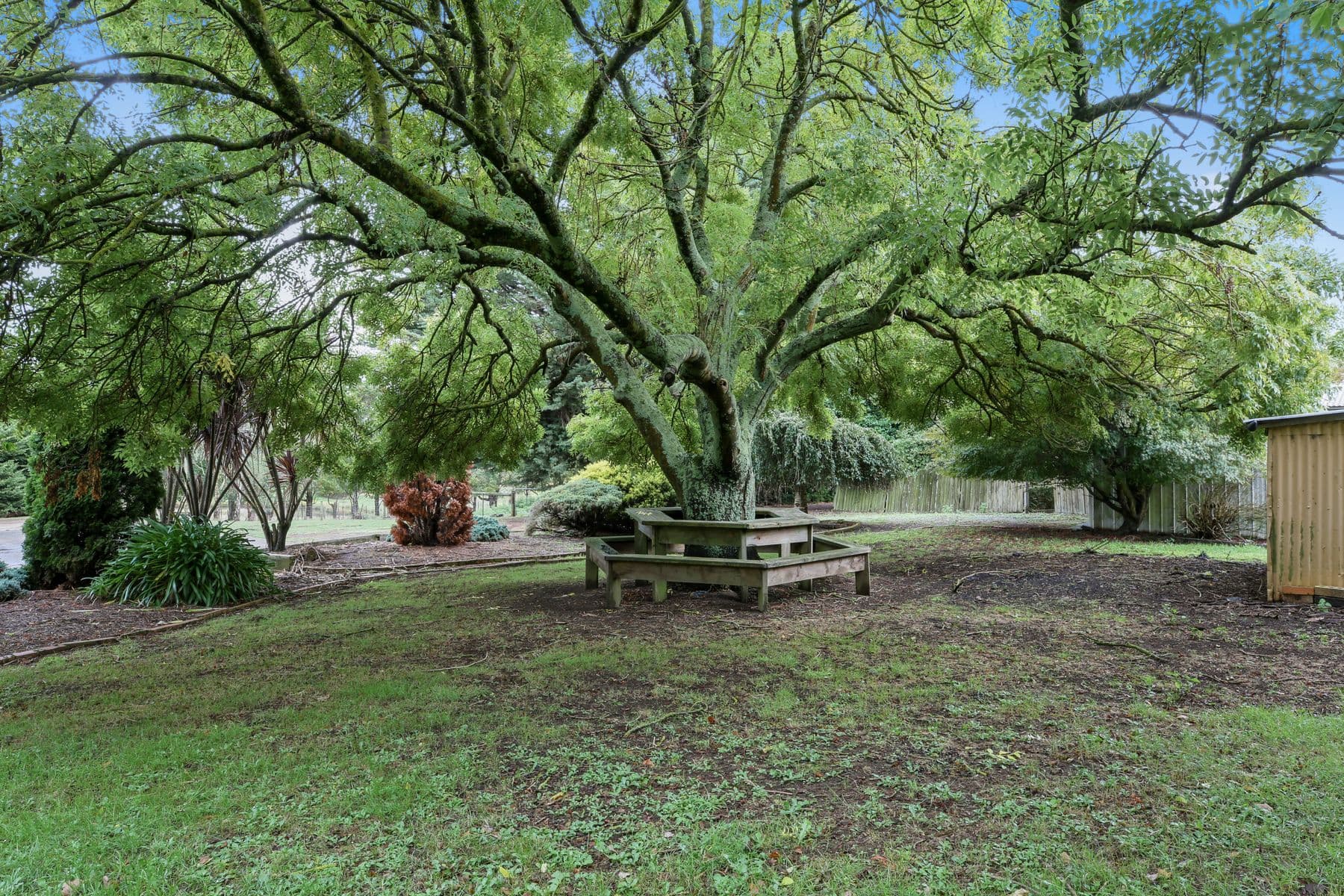 2.5 Acres, Large Sheds, B/V home, Warragul - Thumbnail 7
