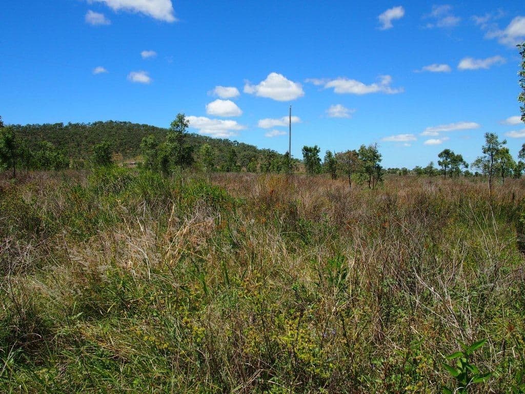539 Thompson Point Road, NANKIN QLD 4701, Nankin - Thumbnail 2