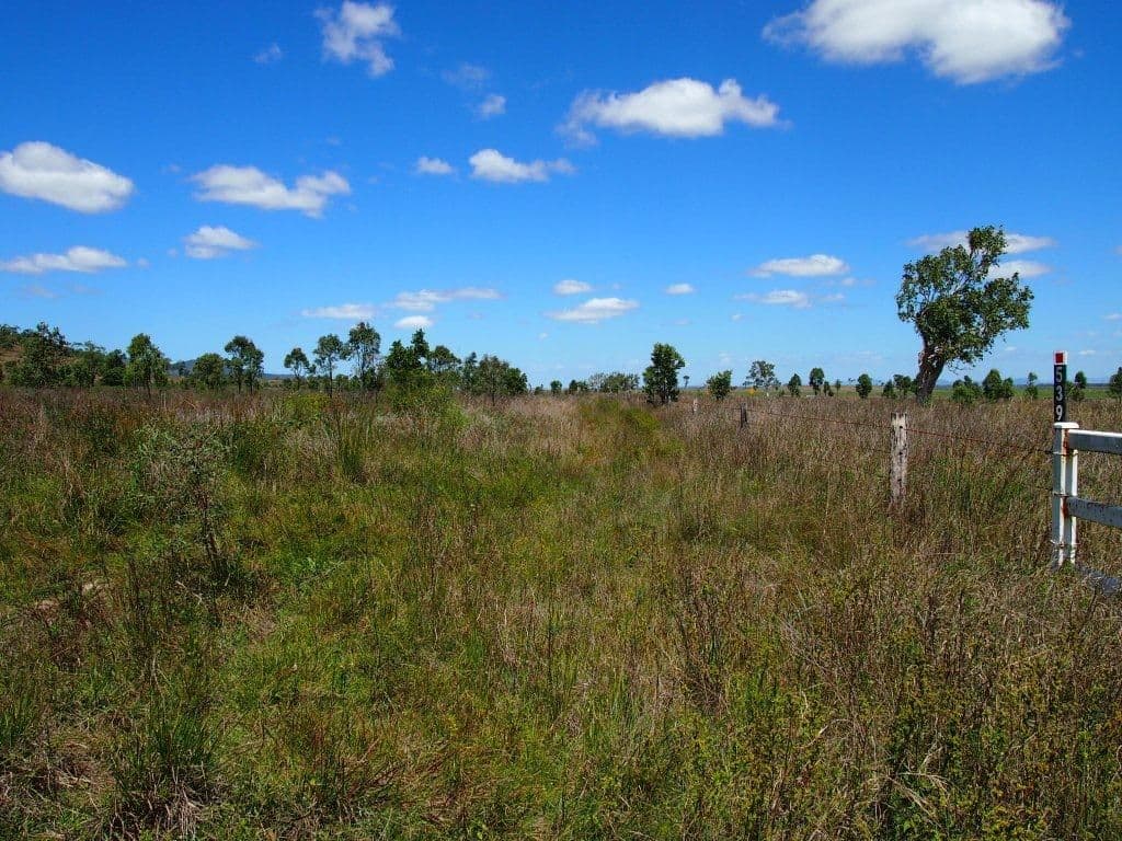 539 Thompson Point Road, NANKIN QLD 4701, Nankin - Thumbnail 3
