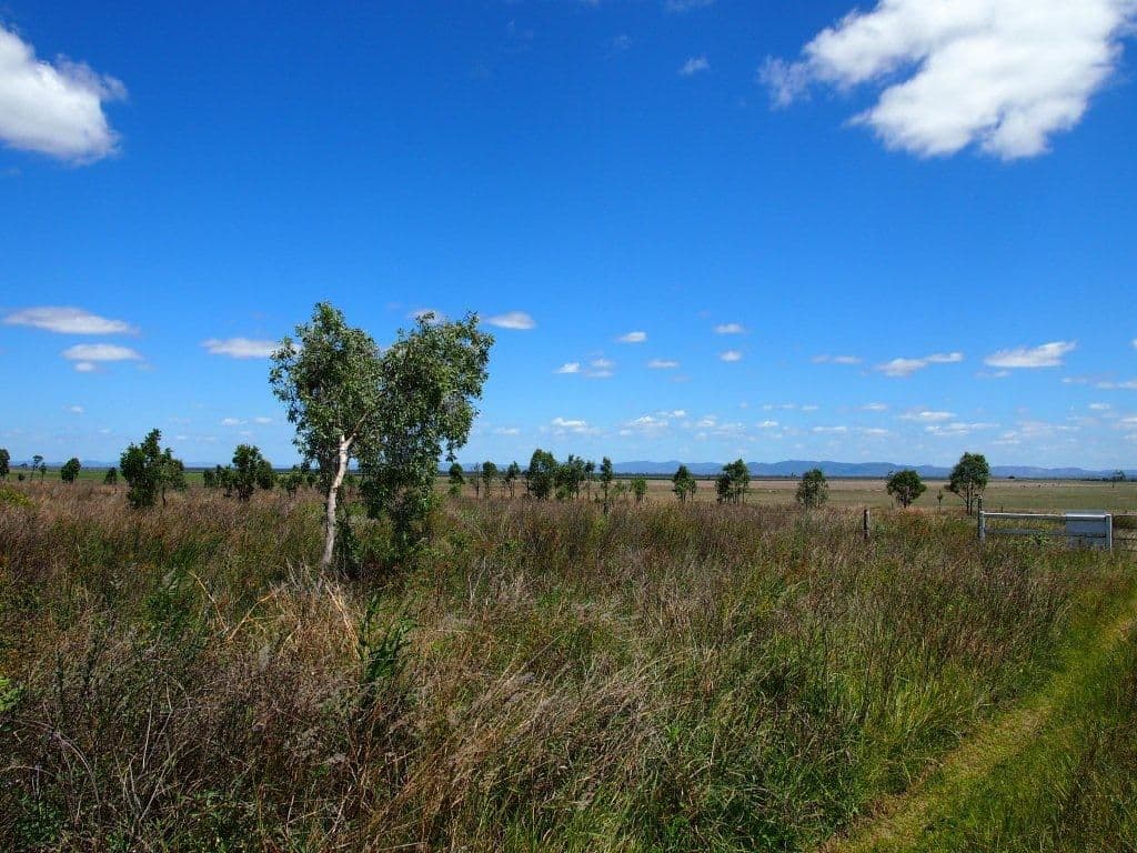 539 Thompson Point Road, NANKIN QLD 4701, Nankin - Thumbnail 5