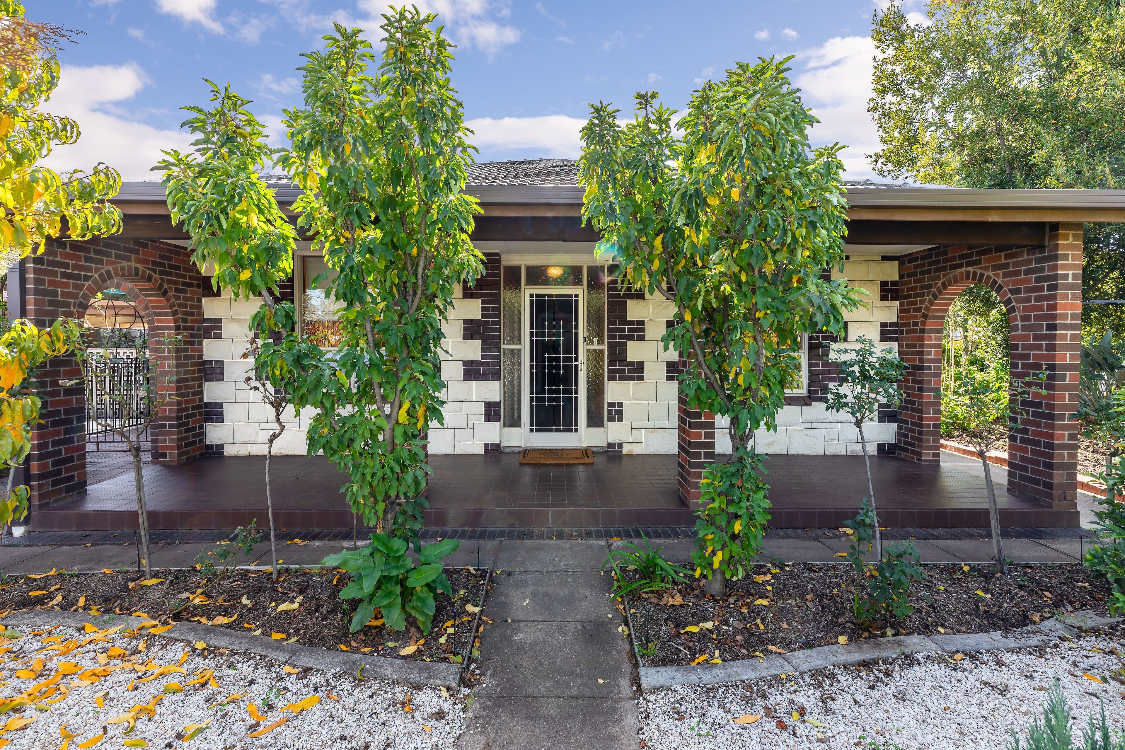 62 Kingston Avenue, Daw Park SA 5041, Daw Park - Image 1