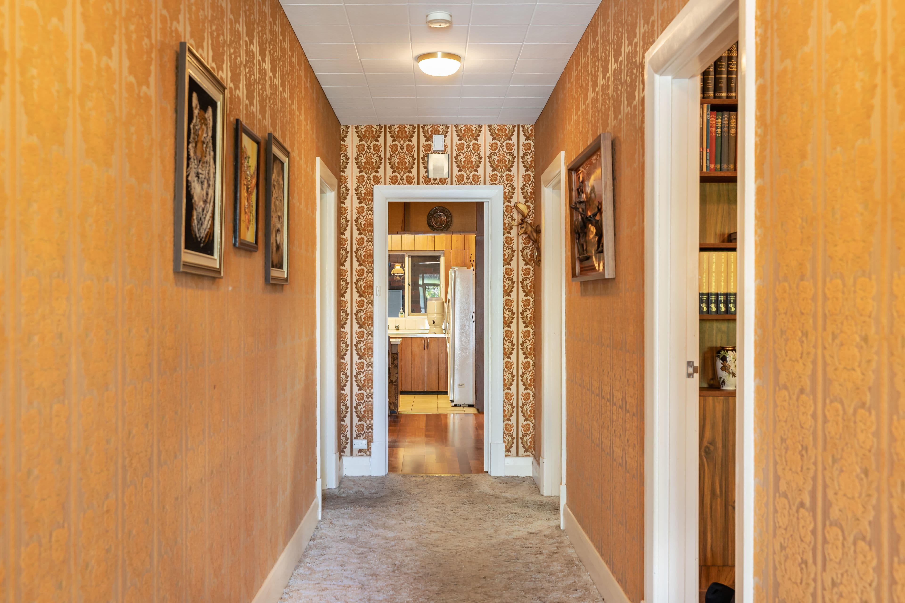 62 Kingston Avenue, Daw Park SA 5041, Daw Park - Thumbnail 2
