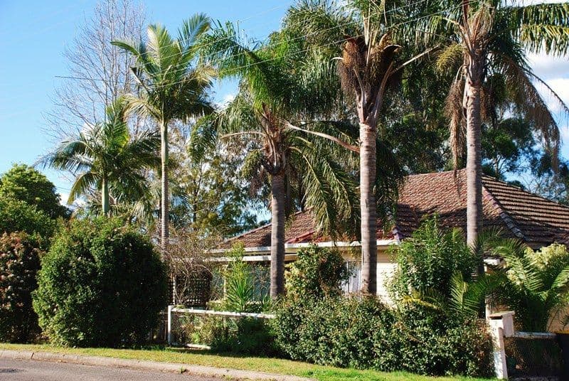 2 Pulman Street, BERRY NSW 2535, Berry - Thumbnail 5