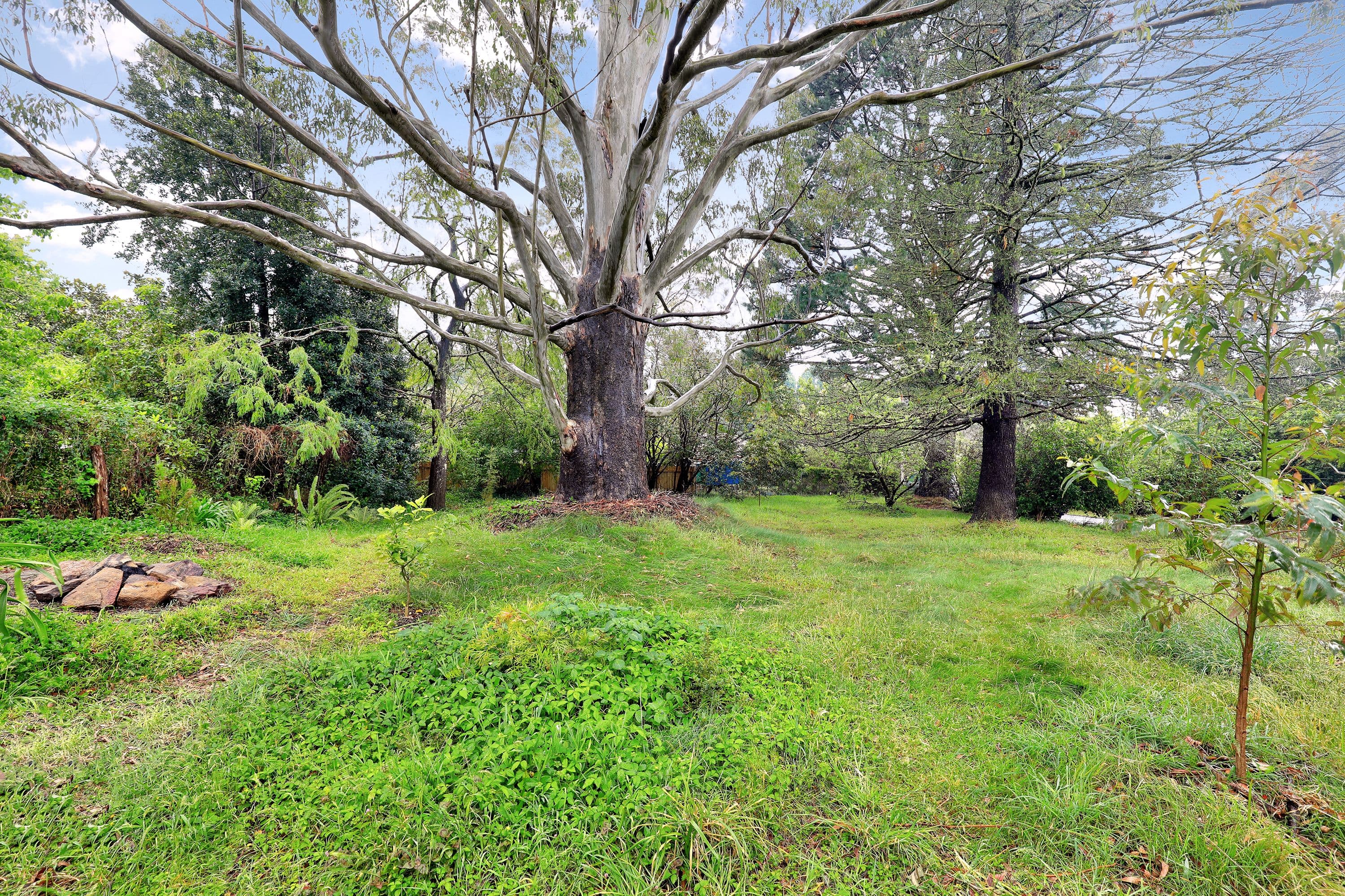 65 Railway Parade, Bullaburra NSW 2784, Bullaburra - Thumbnail 7