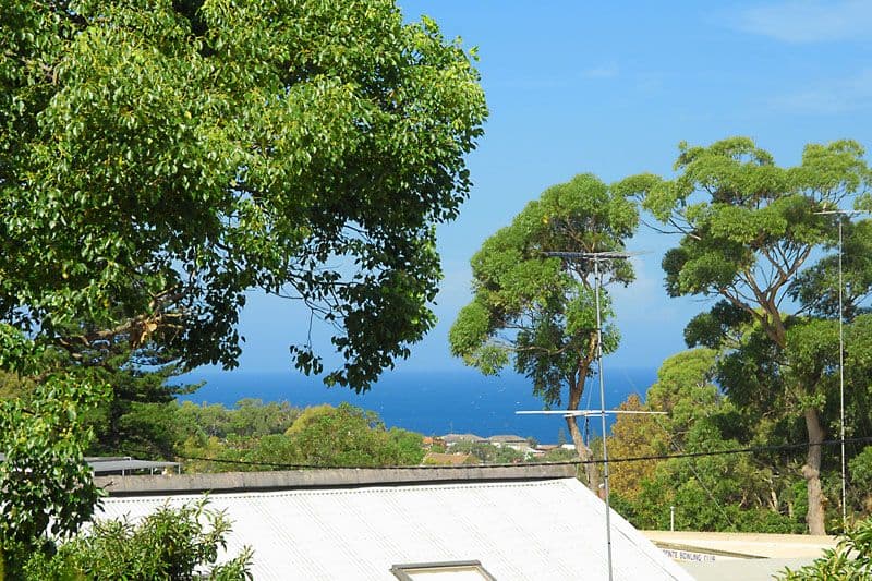3 Macpherson Street, BRONTE NSW 2024, Bronte - Thumbnail 6