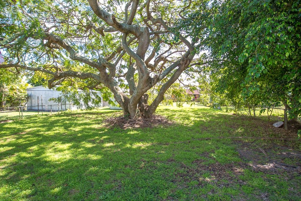 8 High Street, Kippa-Ring QLD 4021, Kippa-Ring - Thumbnail 7