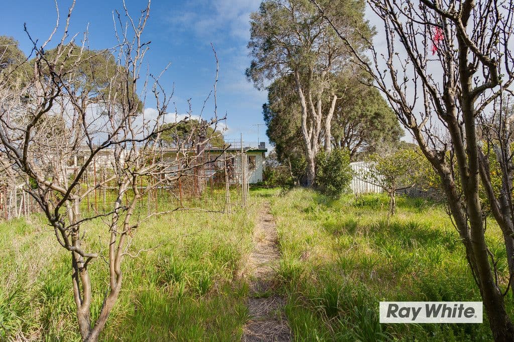 19 Dunham Street, Rye VIC 3941, Rye - Thumbnail 4