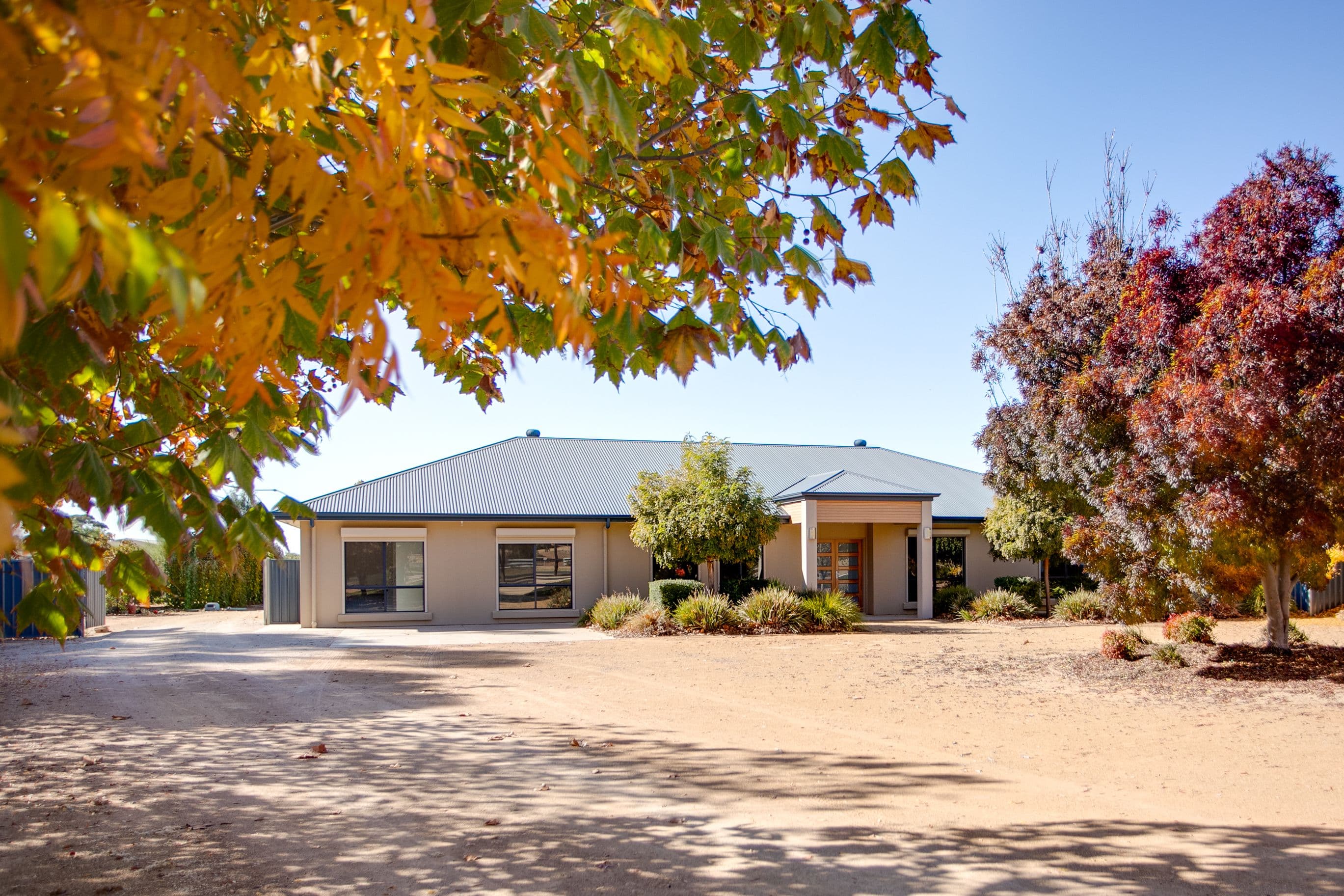 1681 Bookpurnong Road, Loxton SA 5333, Loxton - Thumbnail 2
