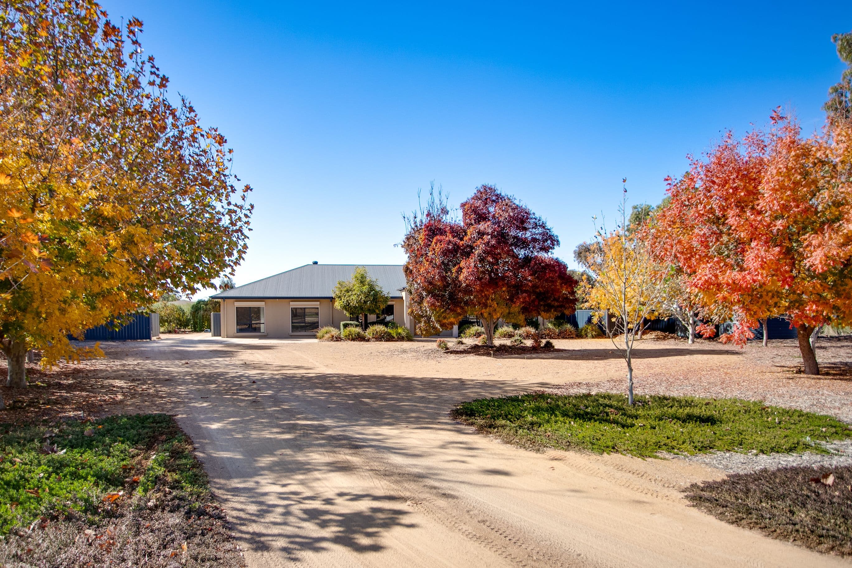 1681 Bookpurnong Road, Loxton SA 5333, Loxton - Thumbnail 5