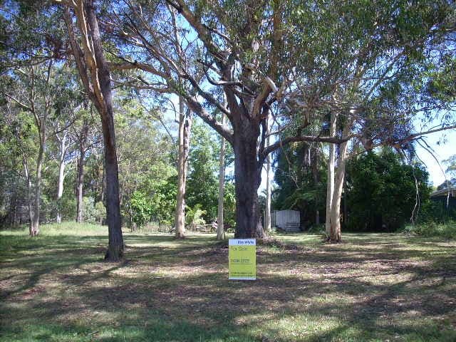 10 Skiff Street, Russell Island QLD 4184, Russell Island - Image 1