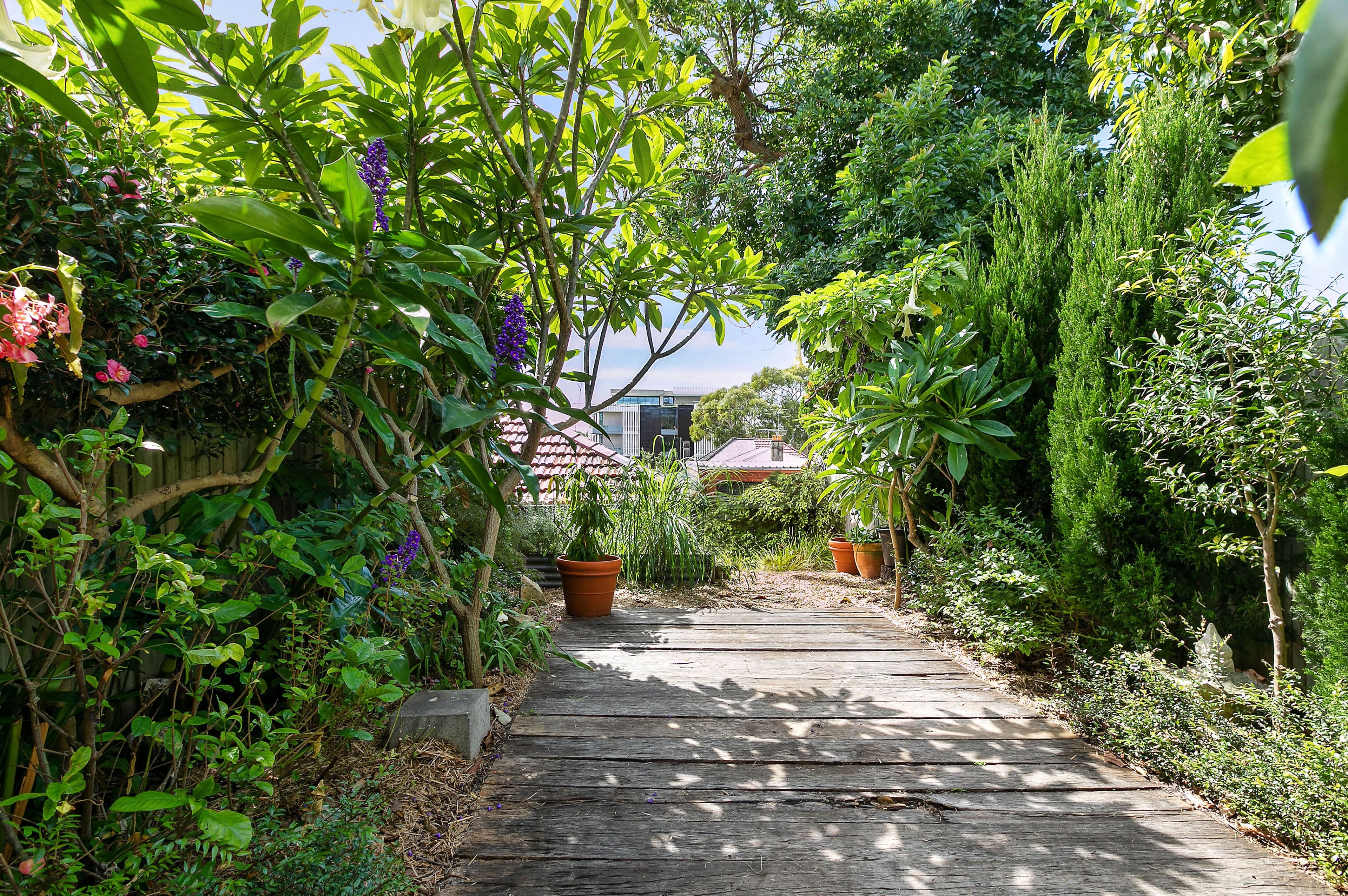 28 Burton Street, Randwick NSW 2031, Randwick - Thumbnail 6