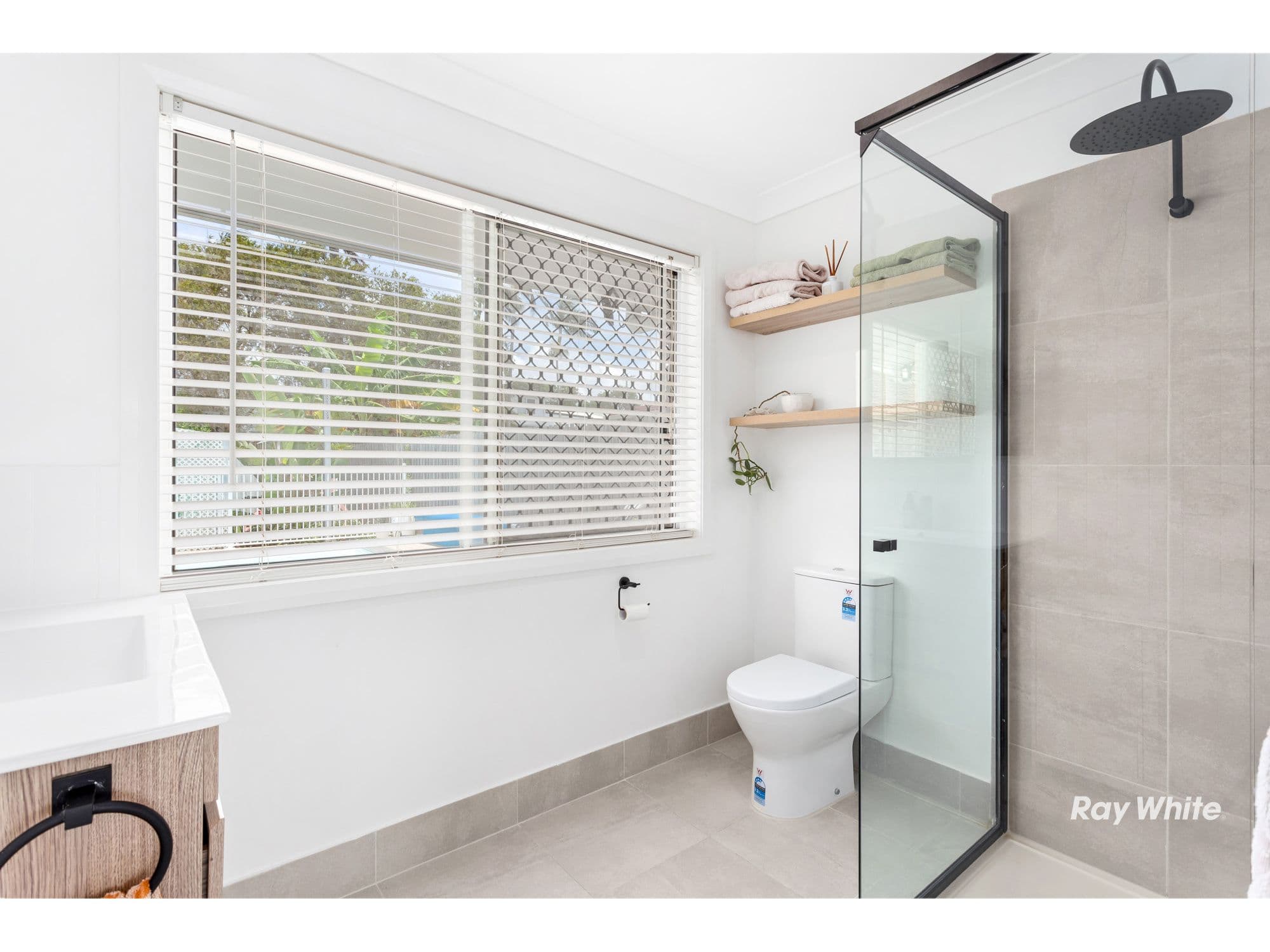 8 Guy Street, Yeppoon QLD 4703, Yeppoon - Thumbnail 6