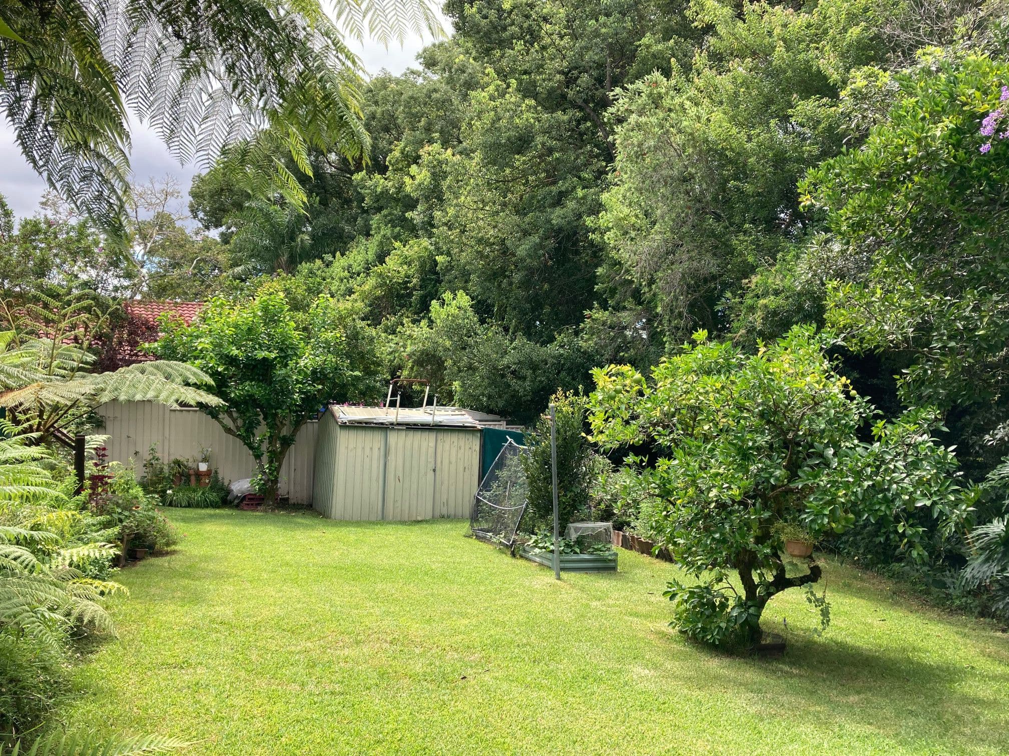3 Halpin Street, Bellingen NSW 2454, Bellingen - Thumbnail 4