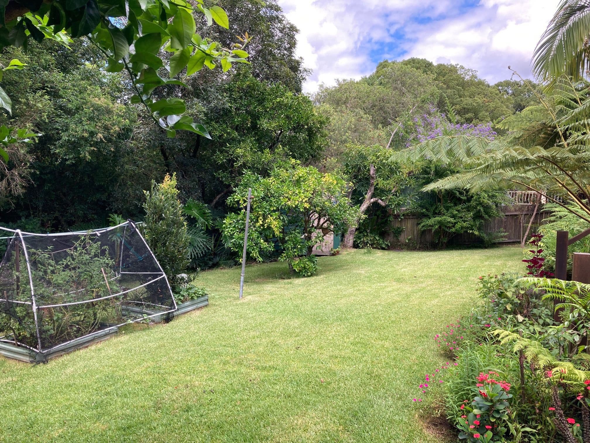 3 Halpin Street, Bellingen NSW 2454, Bellingen - Thumbnail 8