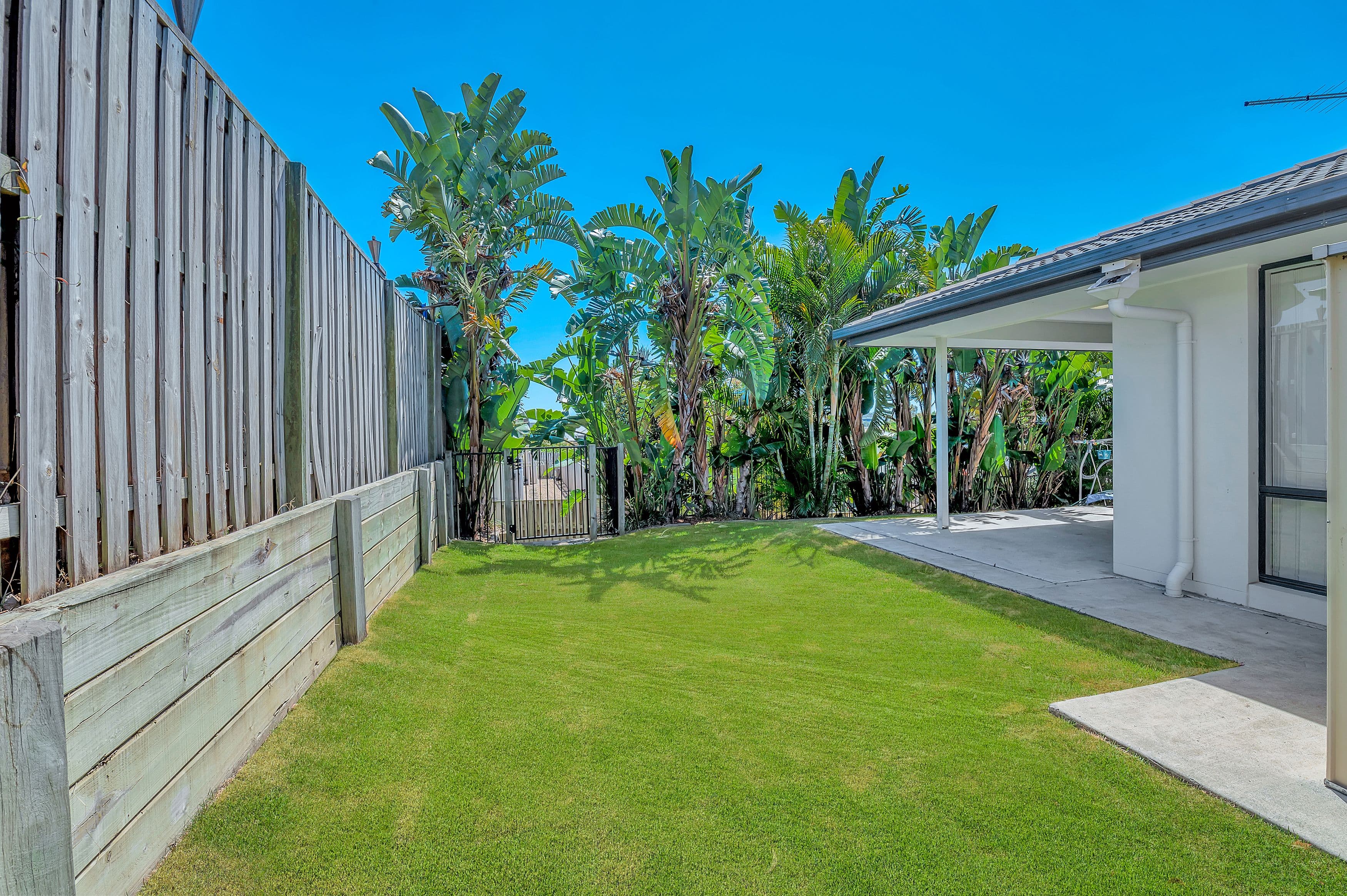 3 Isetta Court, Upper Coomera QLD 4209, Upper Coomera - Thumbnail 3