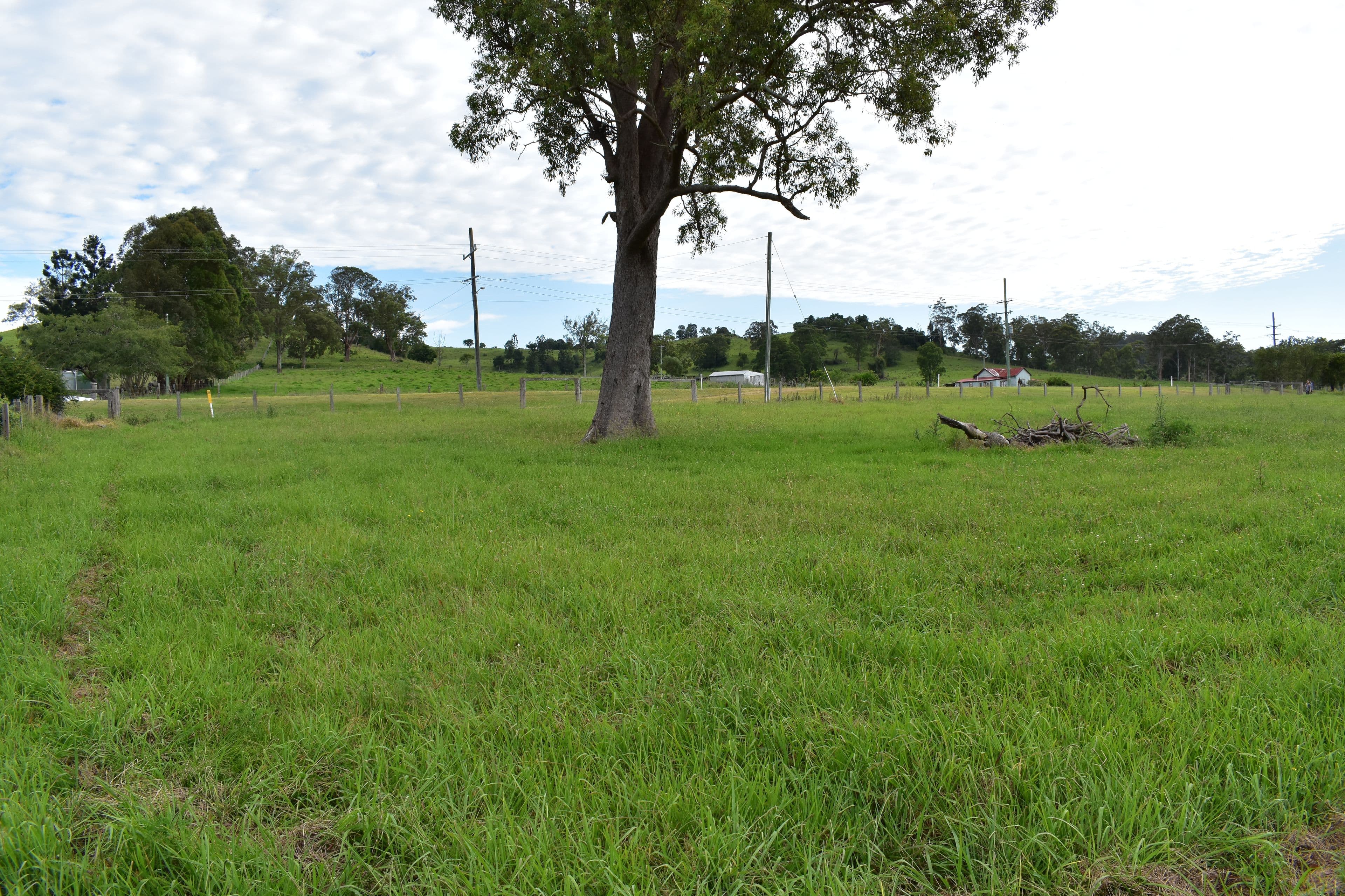 7105 Bruxner Highway, Mallanganee NSW 2469, Mallanganee - Image 1