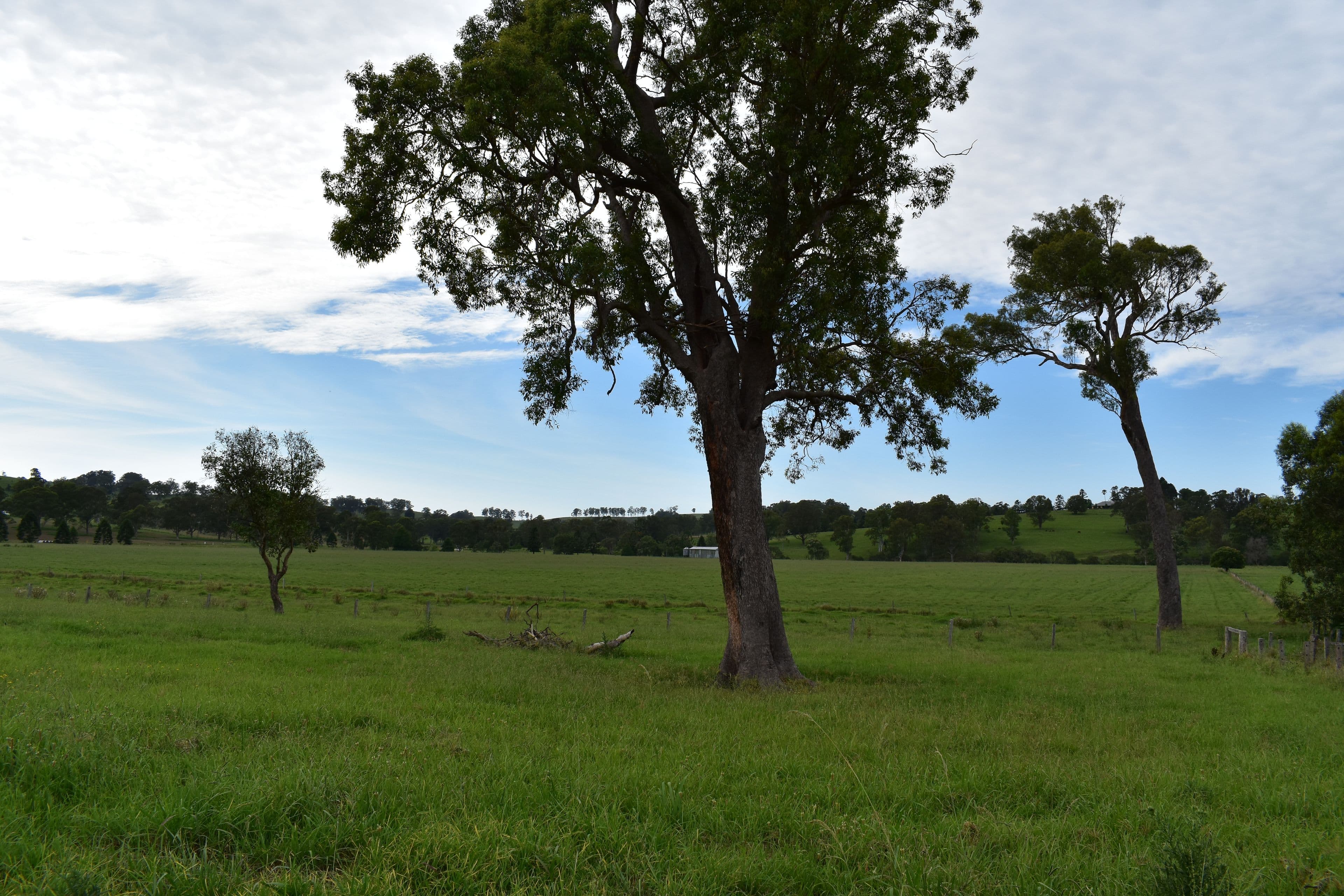 7105 Bruxner Highway, Mallanganee NSW 2469, Mallanganee - Thumbnail 4