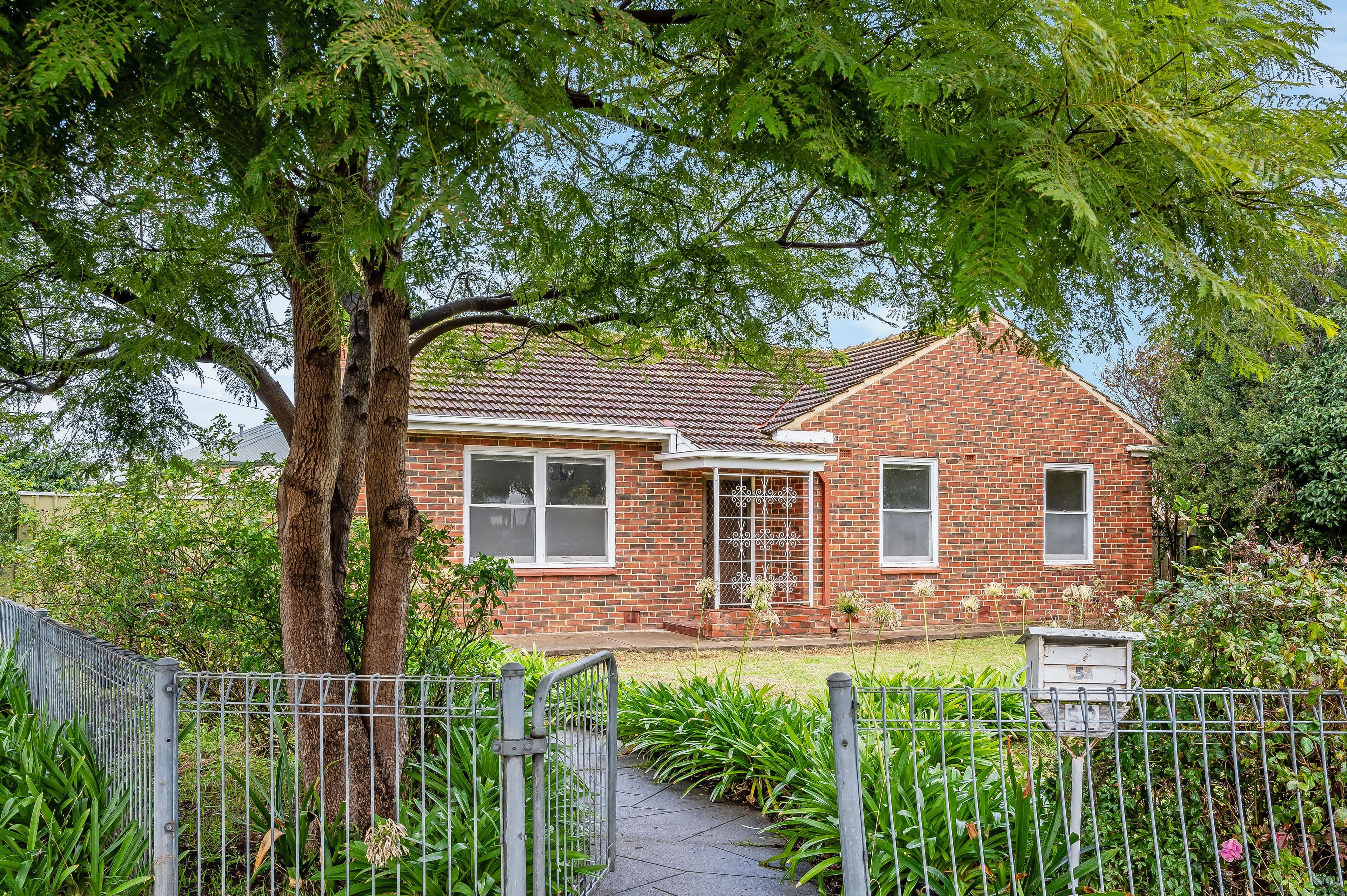52 Fisk Avenue, Glengowrie SA 5044, Glengowrie - Image 1