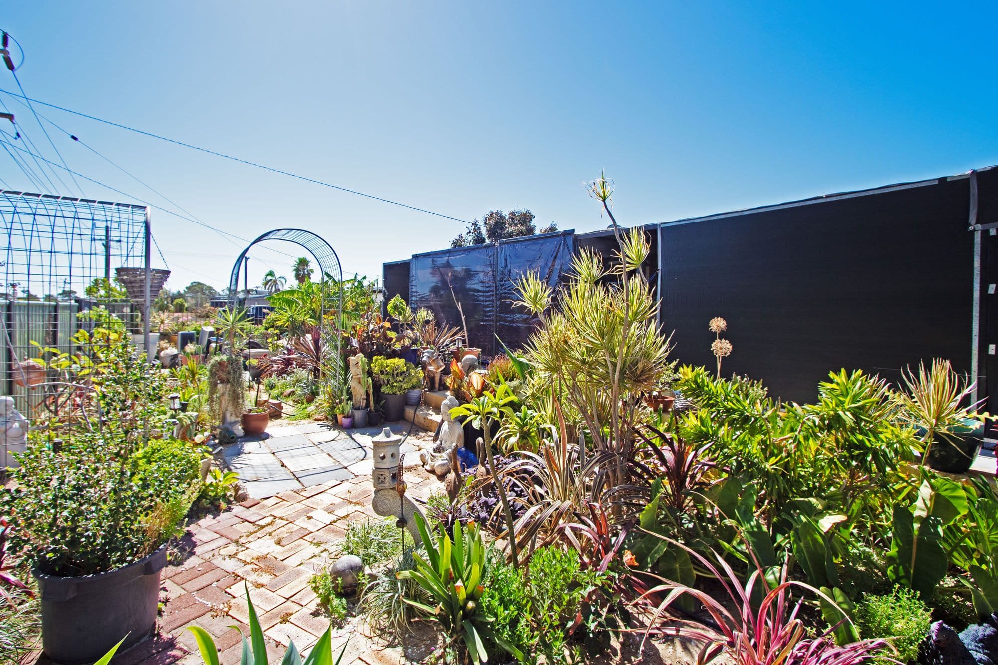 2 BONHAM Street, Leeman WA 6514, Leeman - Thumbnail 6