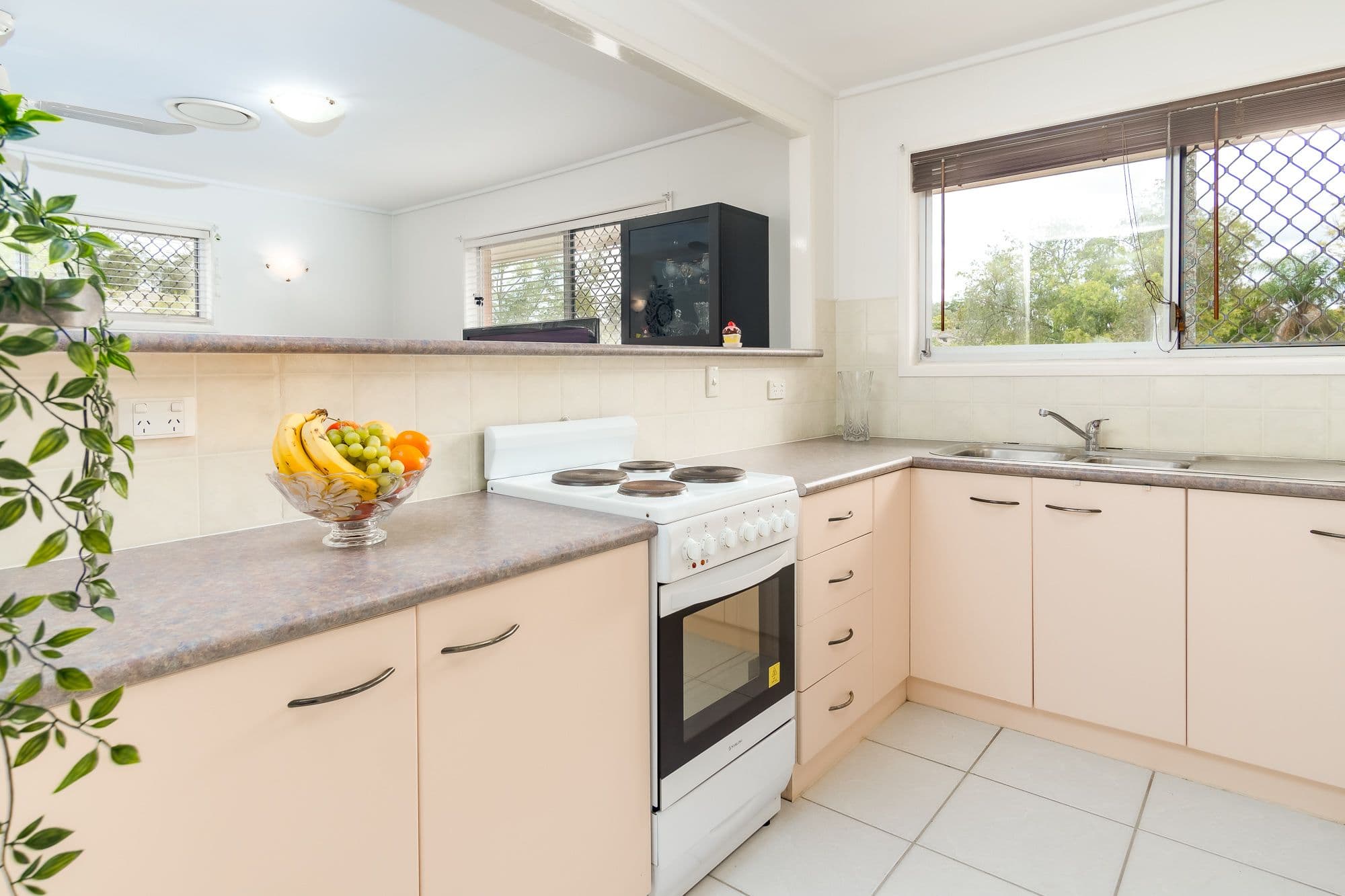 66 Allbutt Street, Kuraby QLD 4112, Kuraby - Thumbnail 5