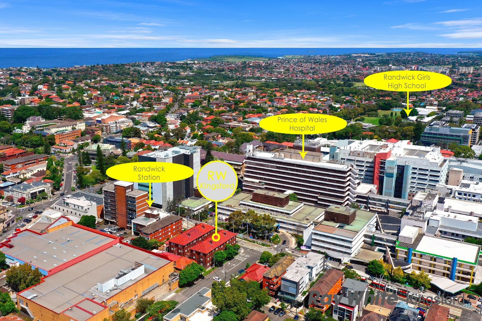 56 High Street, Randwick NSW 2031, Randwick - Thumbnail 8