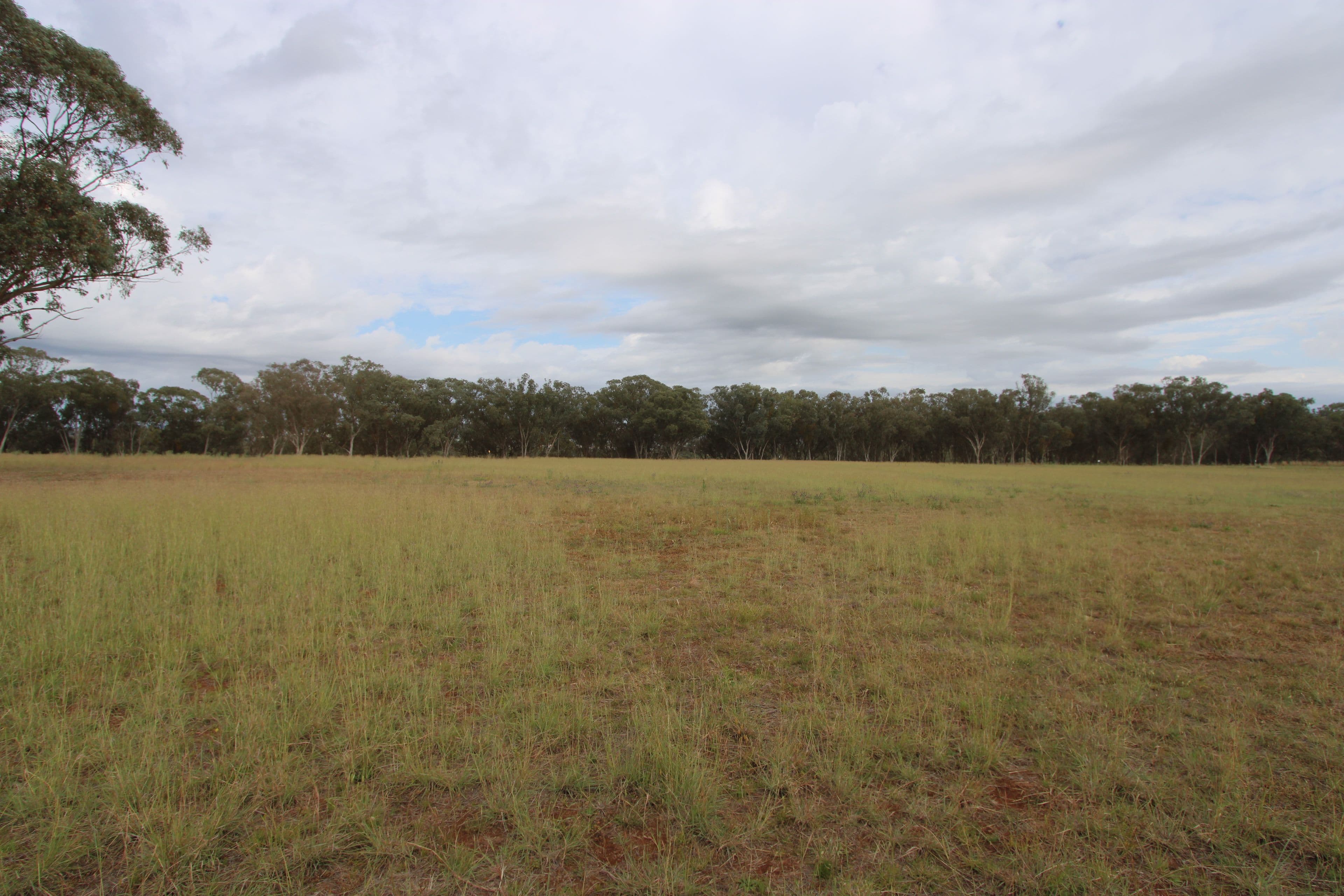 Lot 28 Sylvan Drive, Inverell NSW 2360, Inverell - Thumbnail 4