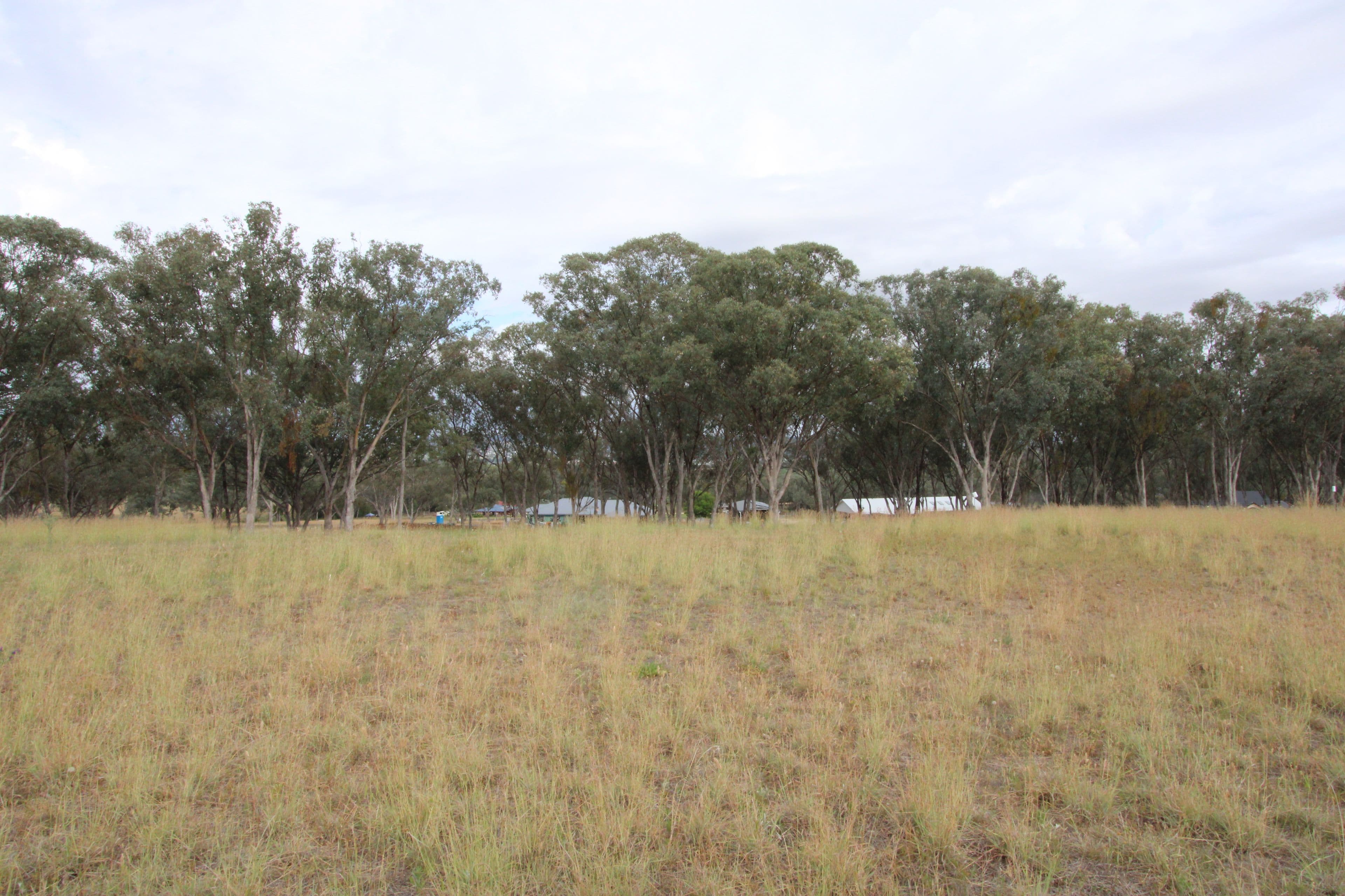Lot 28 Sylvan Drive, Inverell NSW 2360, Inverell - Thumbnail 5