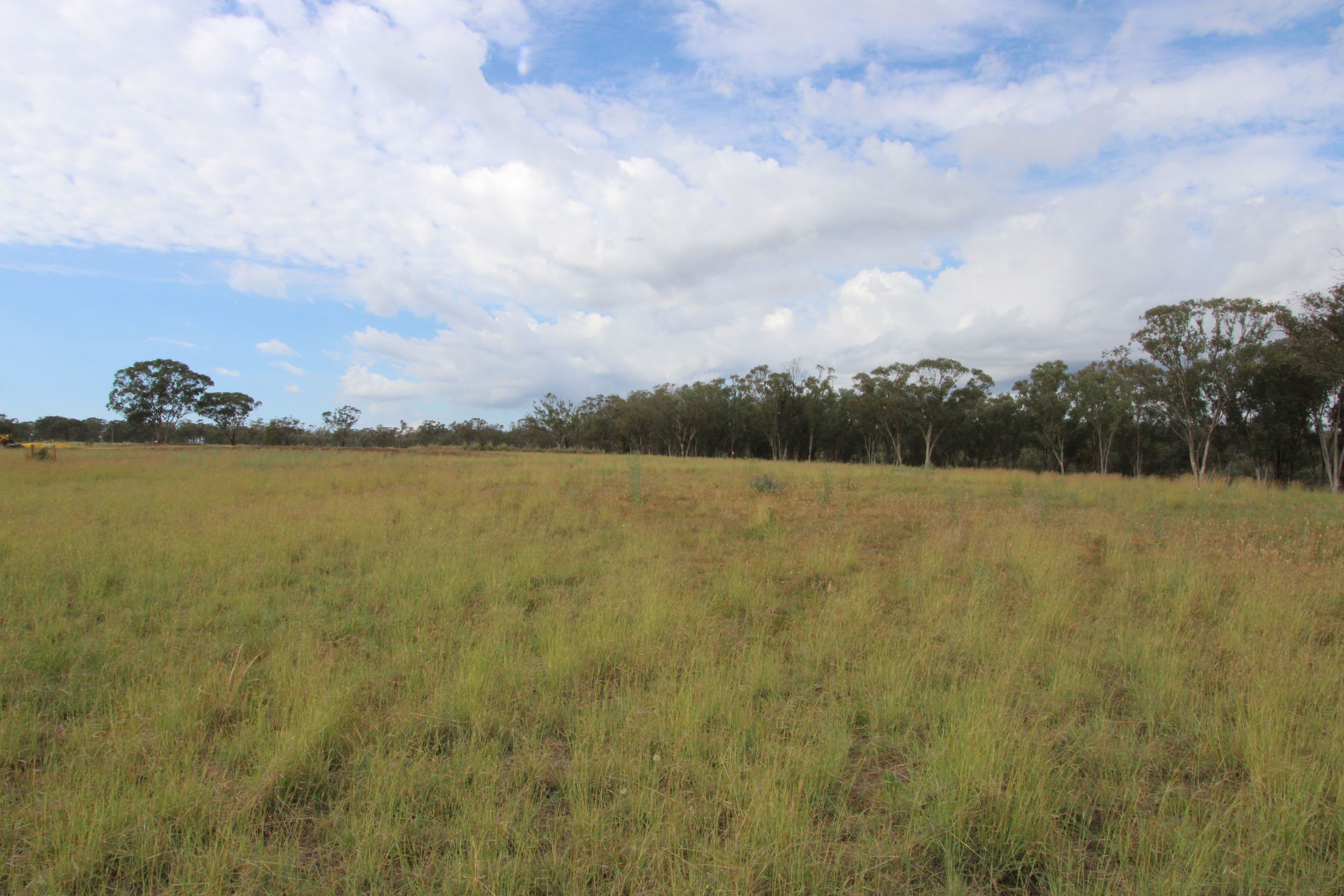 Lot 28 Sylvan Drive, Inverell NSW 2360, Inverell - Thumbnail 6
