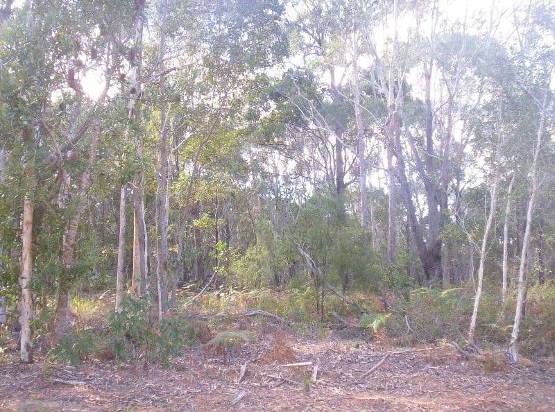 52 Karangi Drive, RUSSELL ISLAND QLD 4184, Russell Island - Image 1