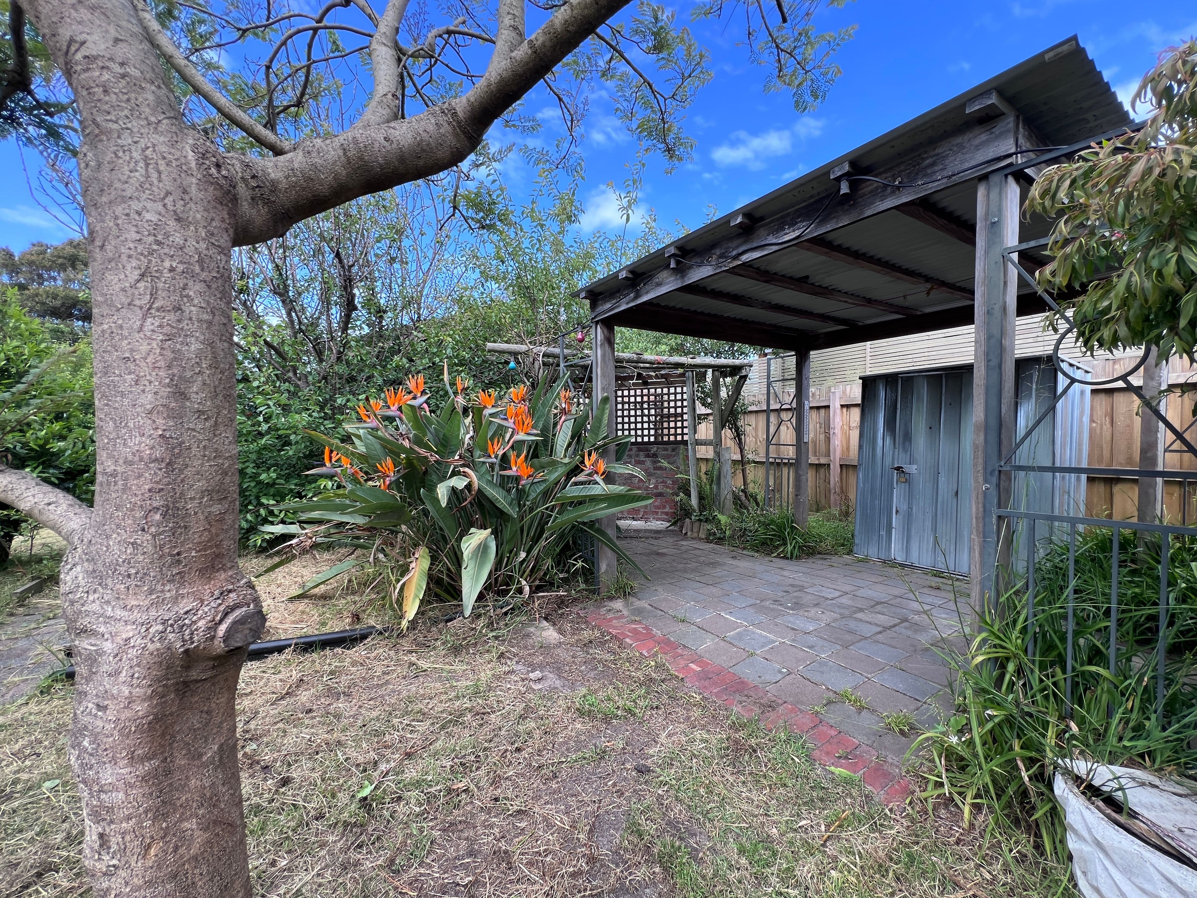 1 Spensley Street, Rosebud VIC 3939, Rosebud - Thumbnail 6