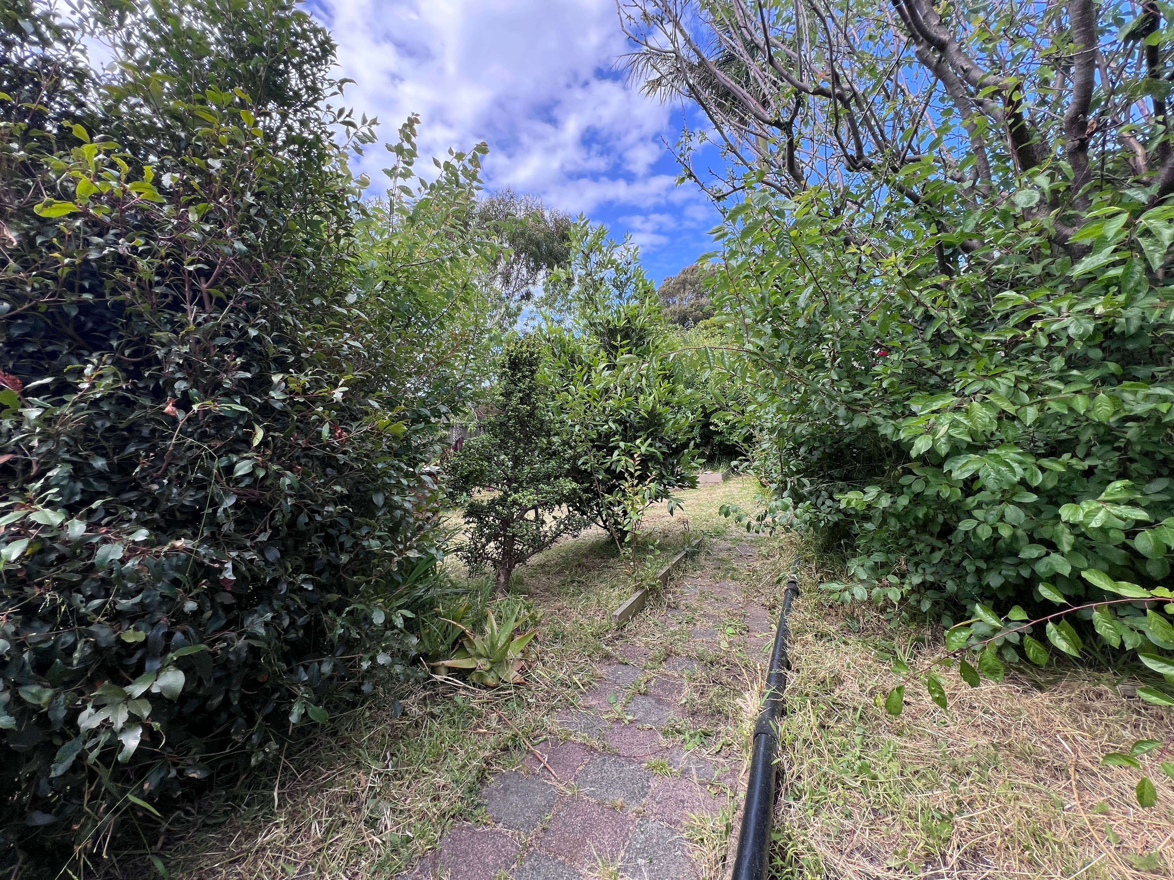 1 Spensley Street, Rosebud VIC 3939, Rosebud - Thumbnail 8