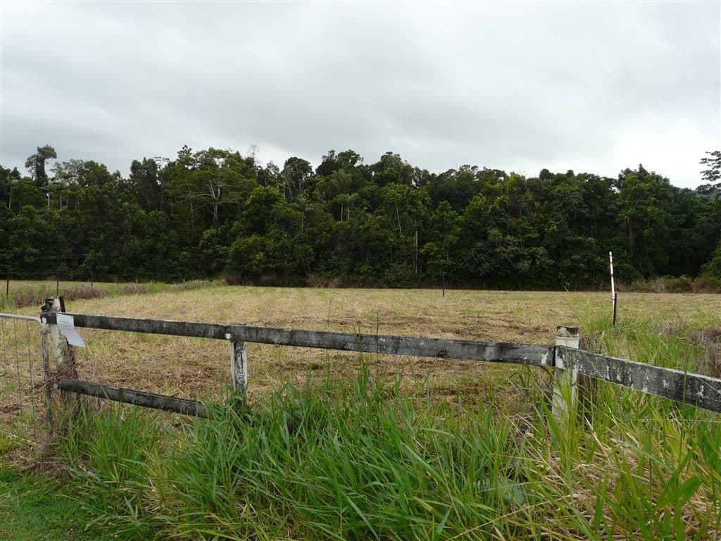 Lot 8 Witchetty Place, Jubilee Heights QLD 4860, Jubilee Heights - Thumbnail 3