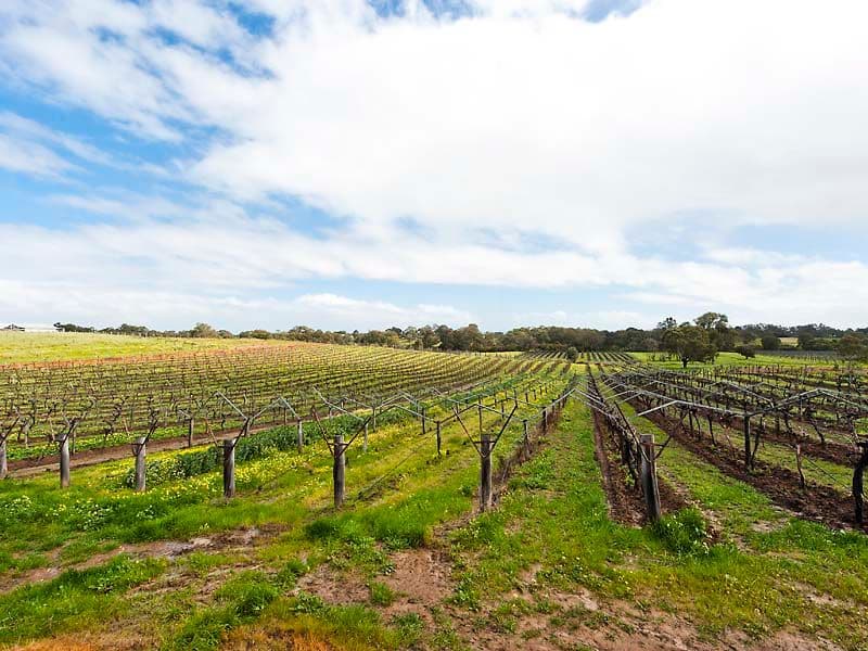 25 Herne Street, HERNE HILL WA 6056, Herne Hill - Thumbnail 3