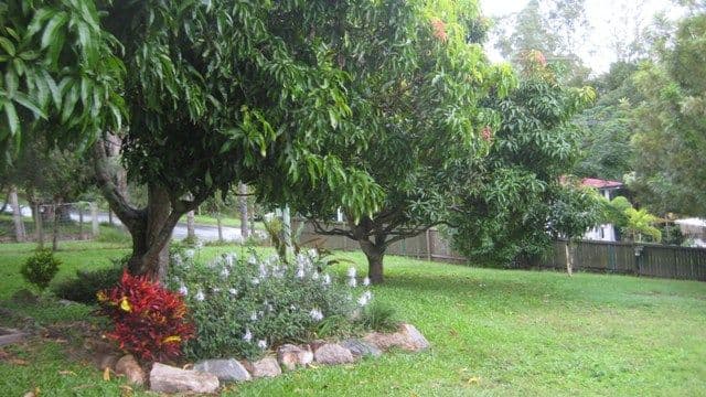36 Morris Street, DAYBORO QLD 4521, Dayboro - Thumbnail 8