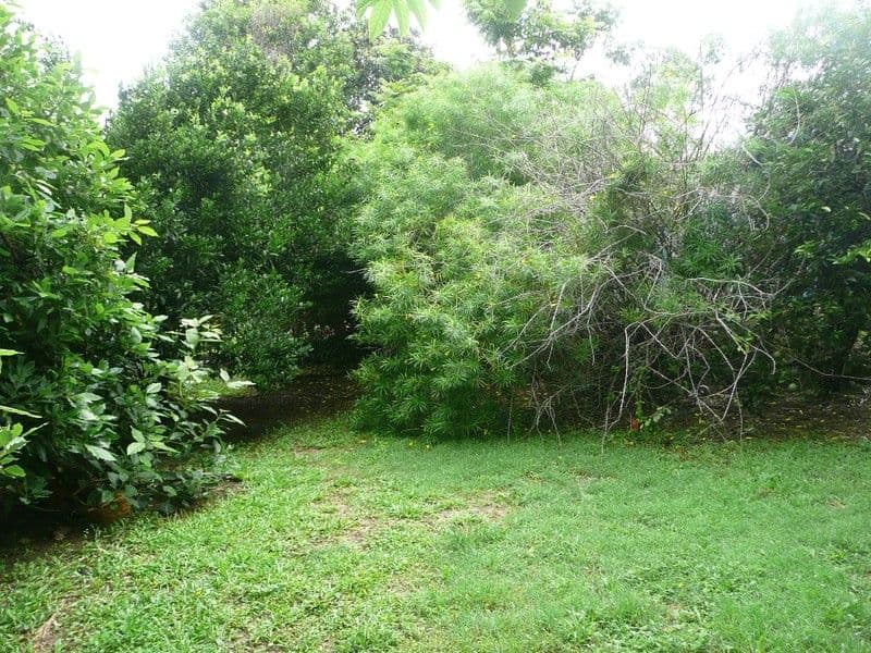 1 Lefoes Road, BLI BLI QLD 4560, Bli Bli - Thumbnail 5