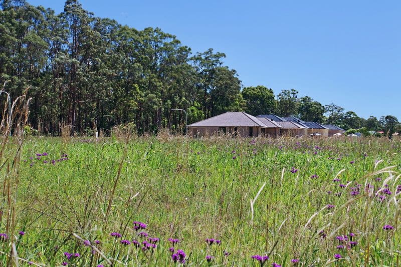 Lot 42 Flannelflower Avenue, WEST NOWRA NSW 2541, West Nowra - Thumbnail 5