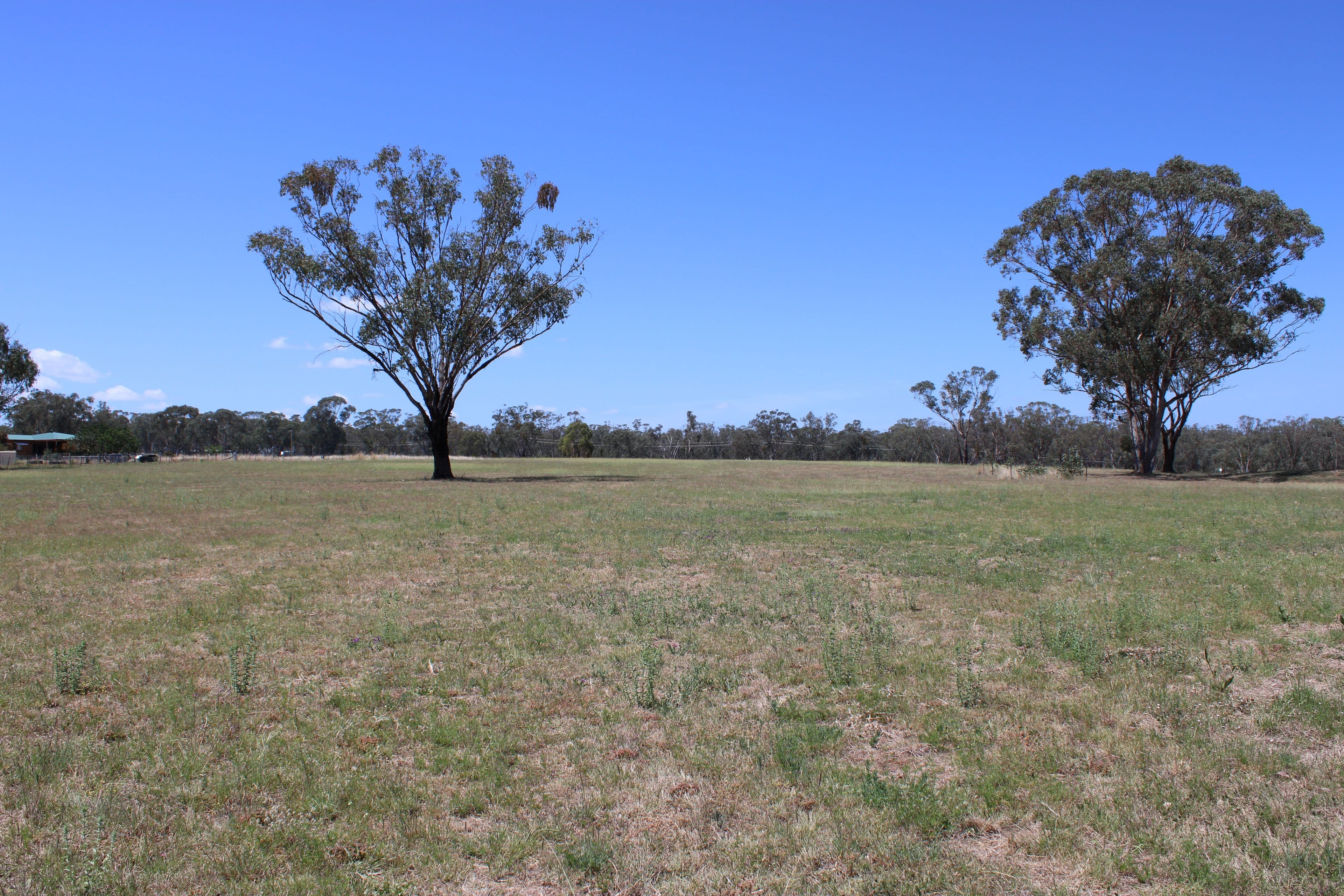 Lot 20 Sylvan Drive, Inverell NSW 2360, Inverell - Thumbnail 7