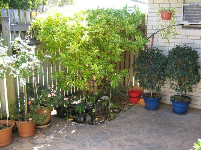 25 Cheribon Avenue, MOUNT PLEASANT QLD 4740, Mount Pleasant - Thumbnail 2