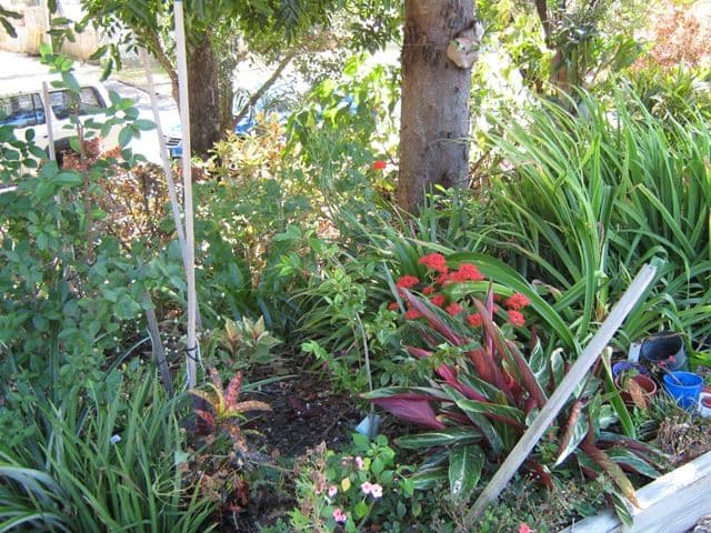 25 Cheribon Avenue, MOUNT PLEASANT QLD 4740, Mount Pleasant - Thumbnail 6