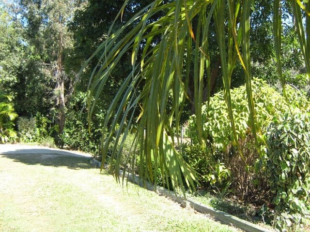 25 Cheribon Avenue, MOUNT PLEASANT QLD 4740, Mount Pleasant - Thumbnail 7