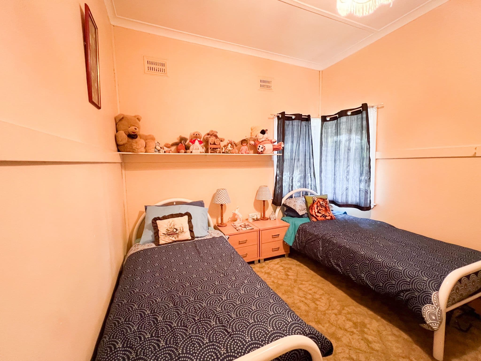 73 Euchie Street, Peak Hill NSW 2869, Peak Hill - Thumbnail 4