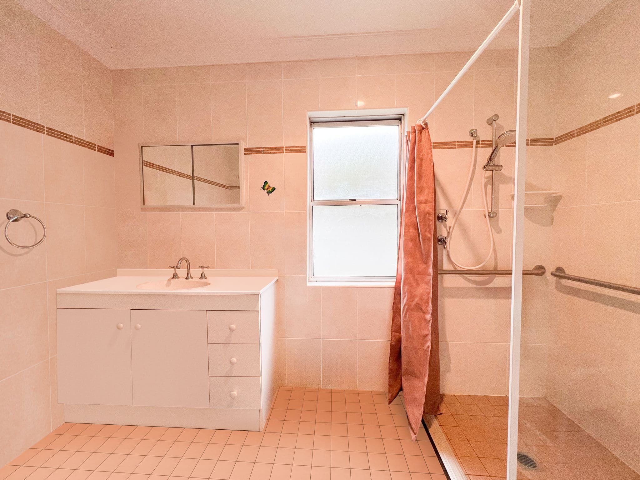 73 Euchie Street, Peak Hill NSW 2869, Peak Hill - Thumbnail 8